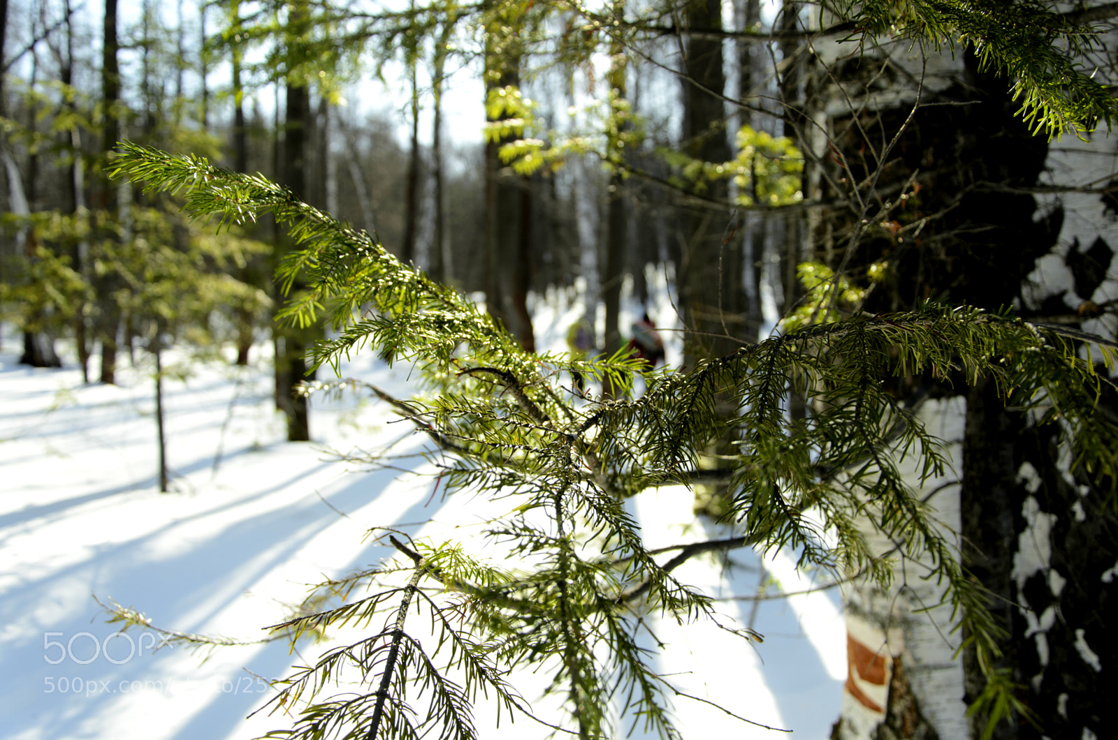 Nikon D7000 sample photo. Семь Братьев photography