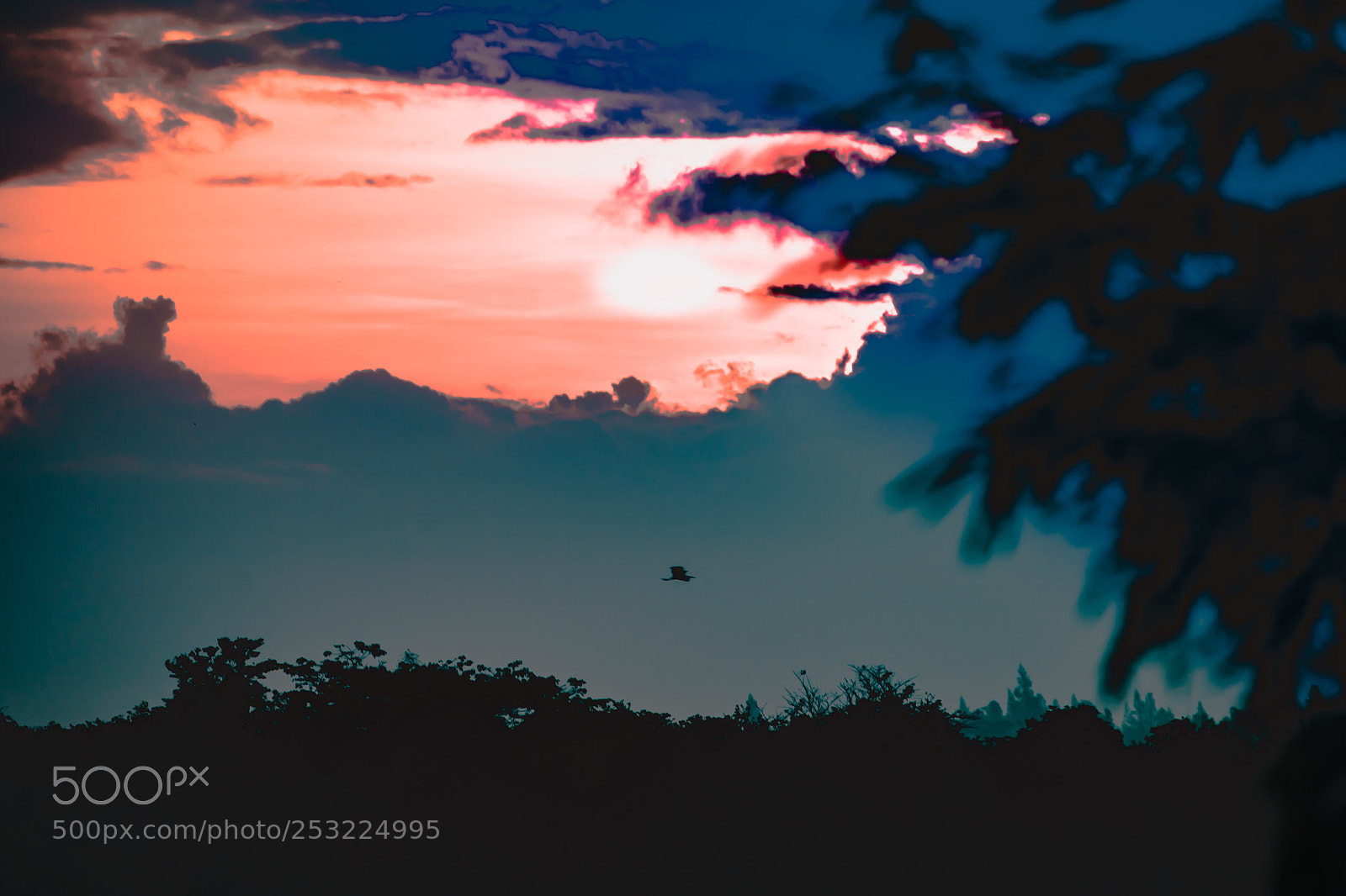 Nikon D800 sample photo. Untitled photography