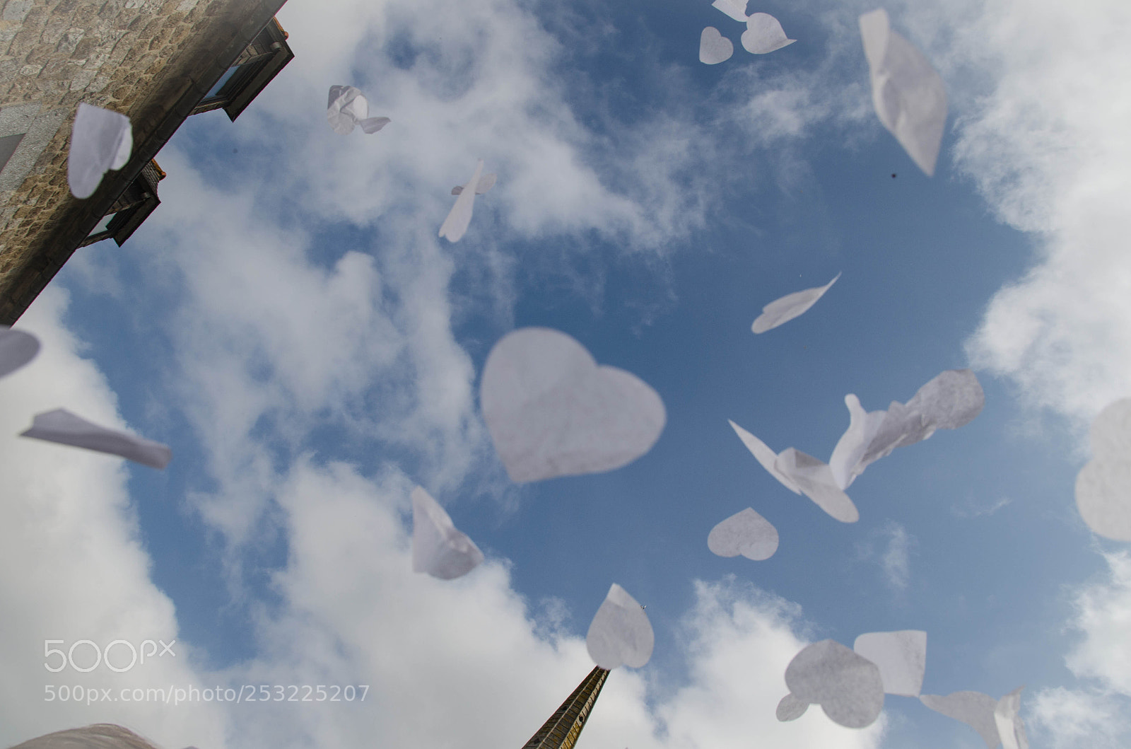 Nikon D7000 sample photo. Love is in the photography