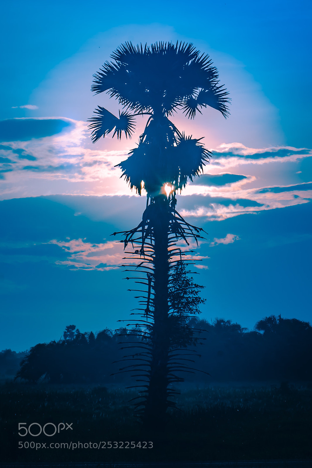 Nikon D800 sample photo. Untitled photography