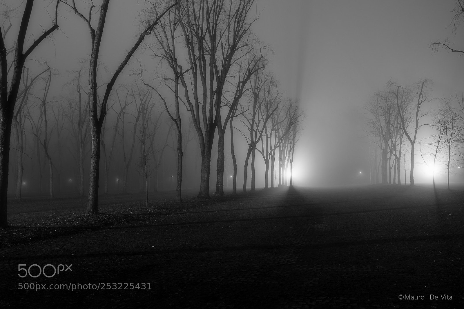 Nikon D5300 sample photo. Misty photography