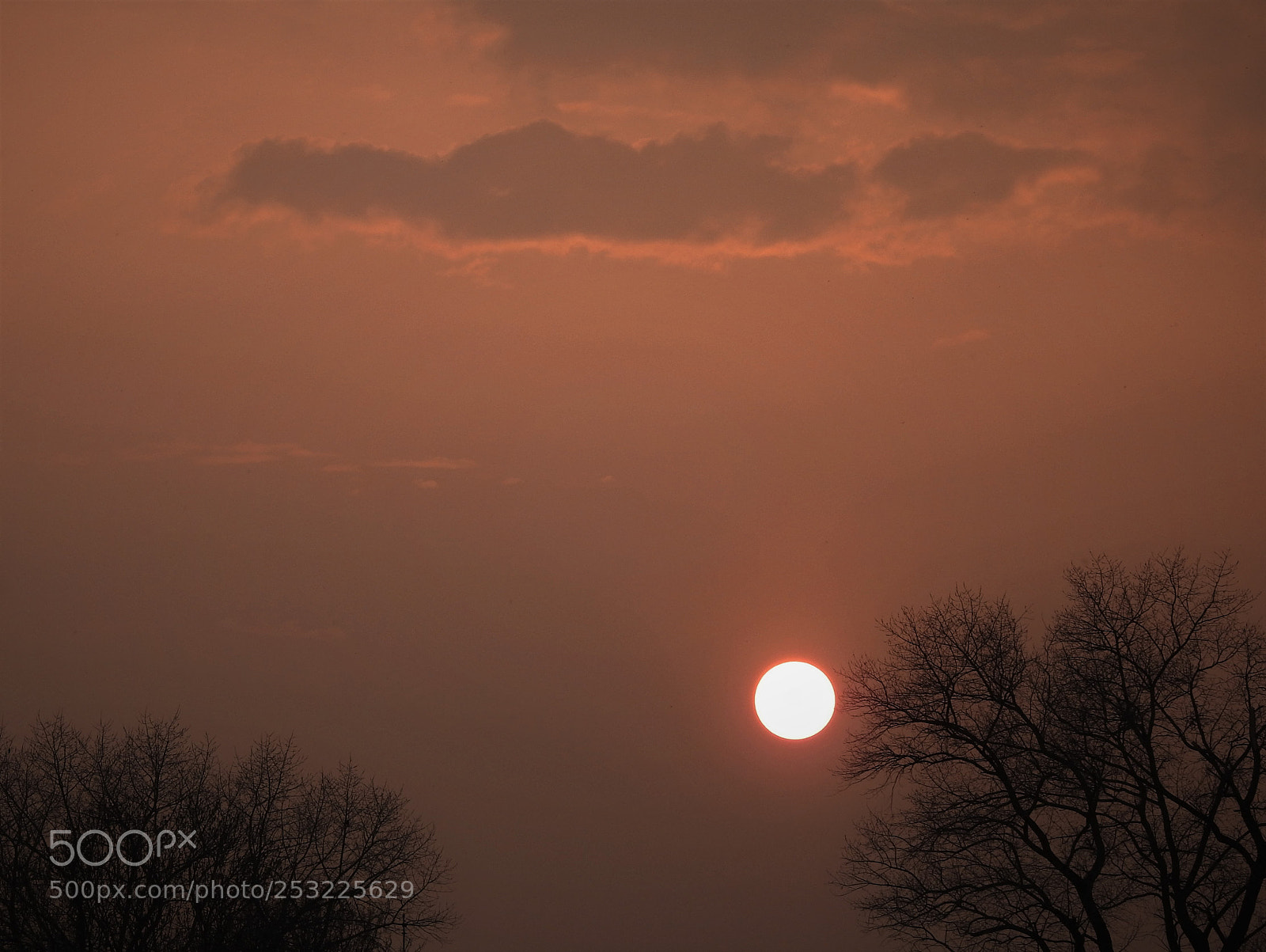 Nikon Coolpix P900 sample photo. Orange sunset... photography