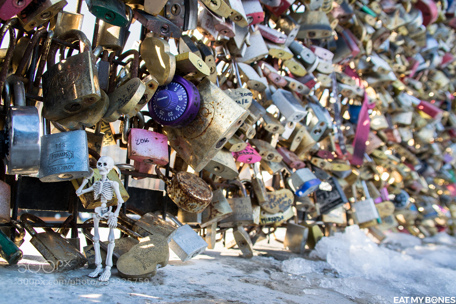 Nikon D5300 sample photo. Padlocks in paris photography