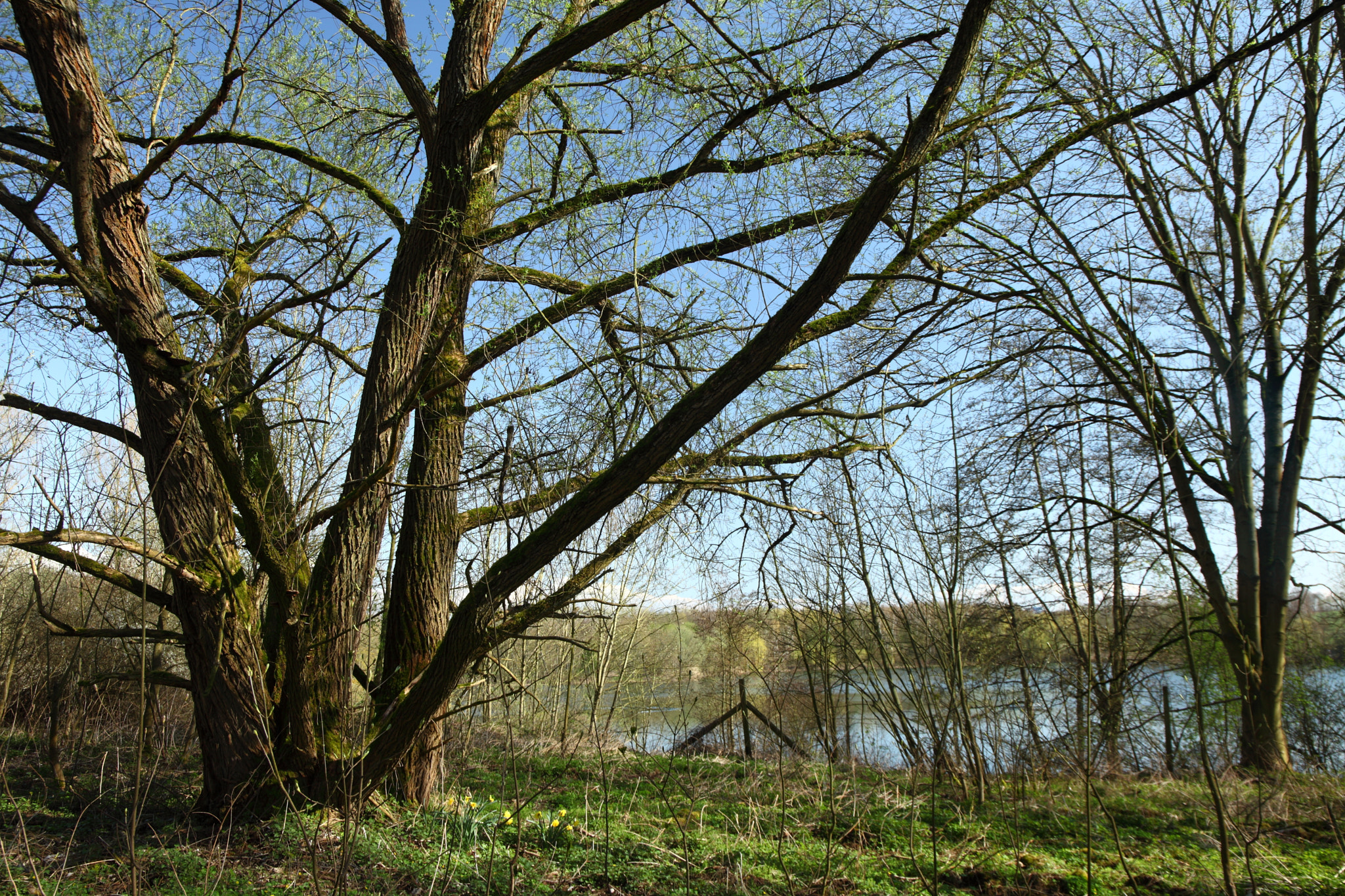 Canon EF 24-105mm F3.5-5.6 IS STM sample photo. At the lake photography