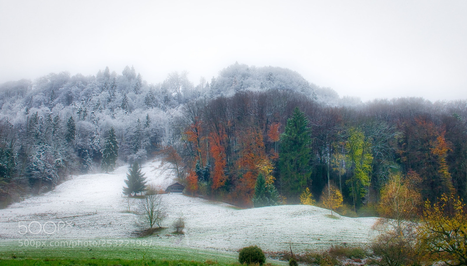 Sony Cyber-shot DSC-RX10 III sample photo. Winter is coming photography