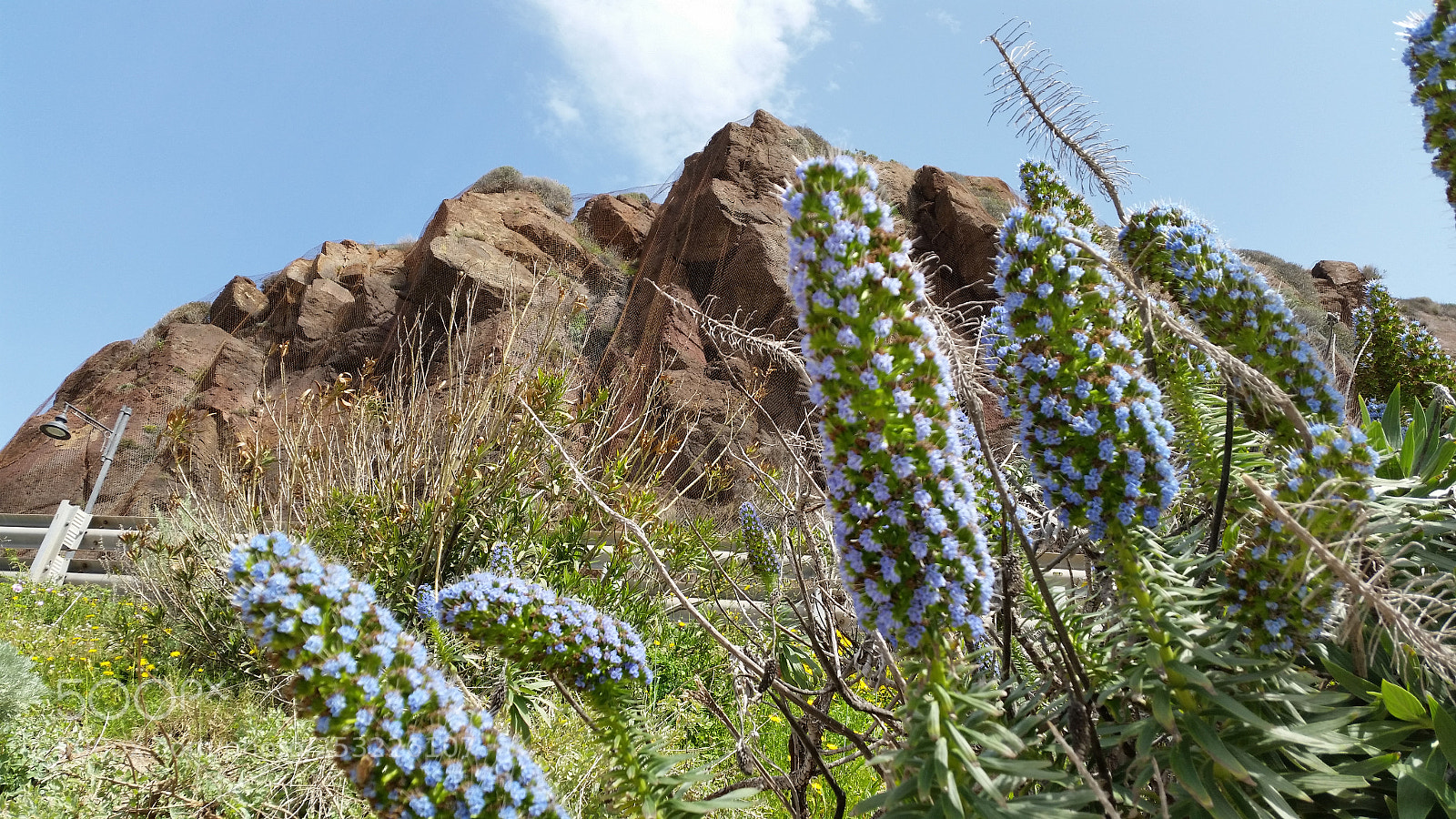Samsung Galaxy S5 sample photo. Untitled photography