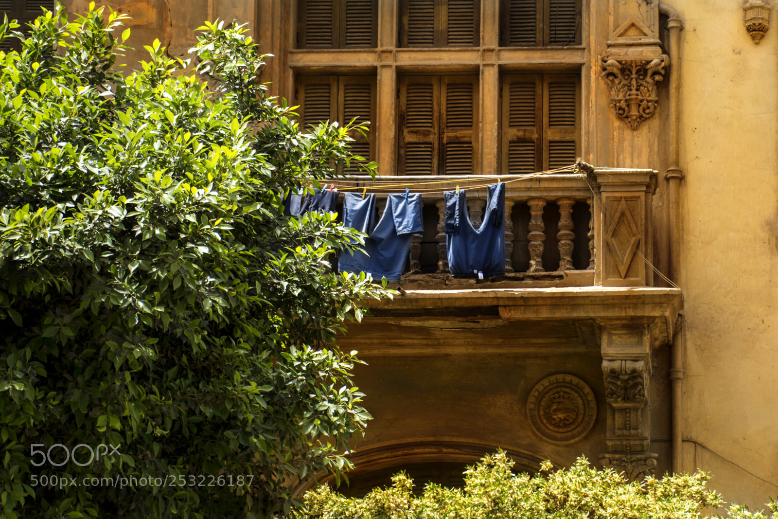 Nikon D7100 sample photo. Helioplis photography