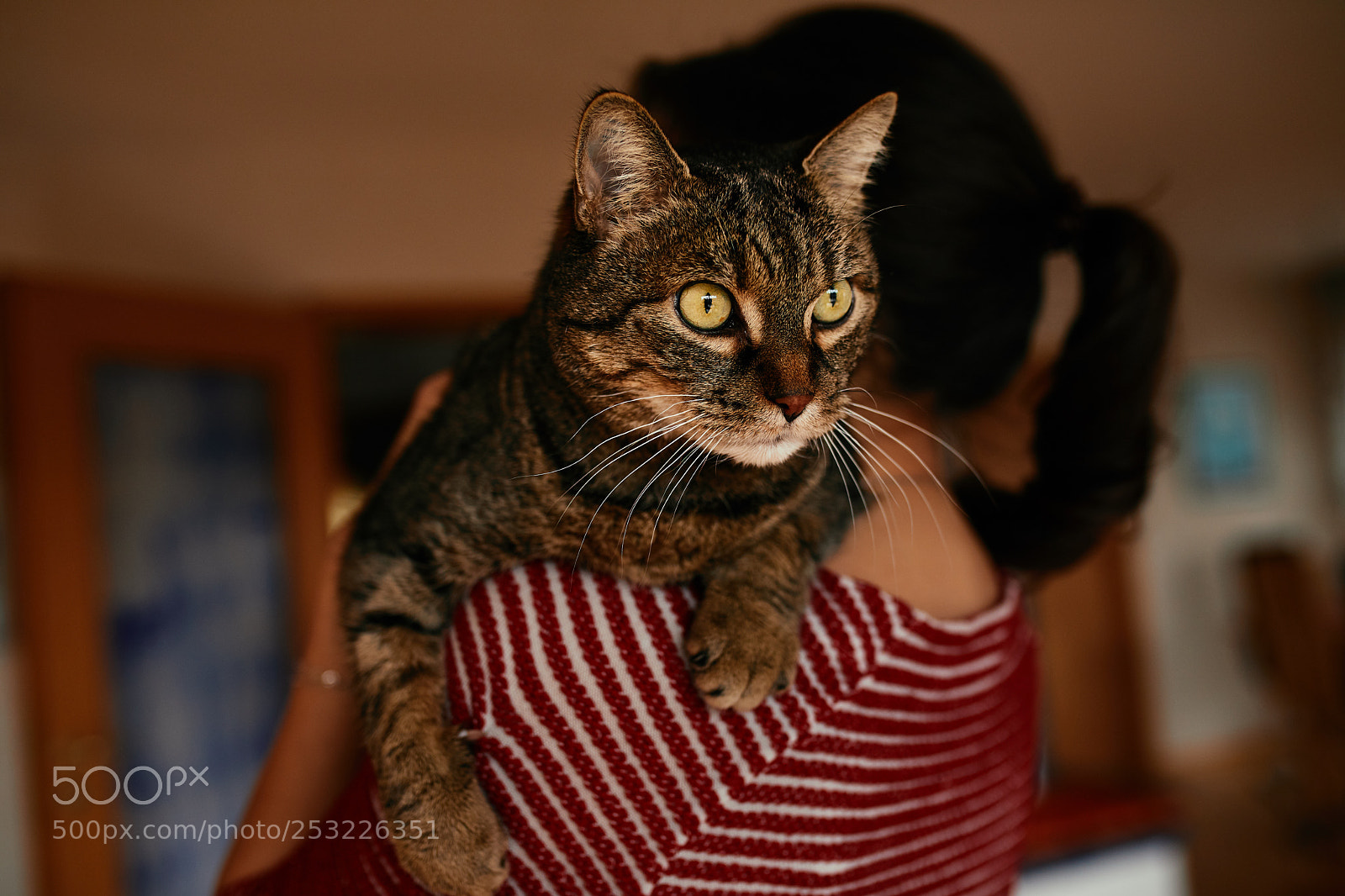 Canon EOS 5D Mark IV sample photo. Filou photography