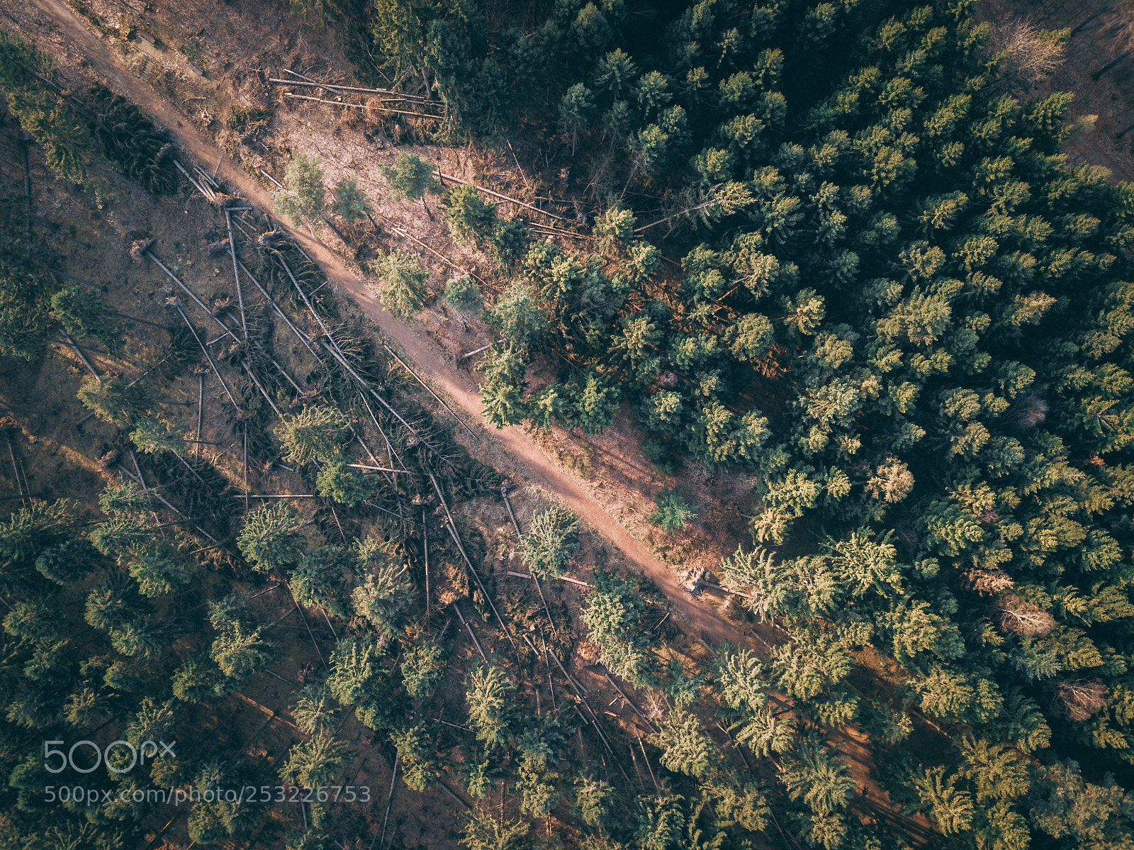DJI FC220 sample photo. Untitled photography