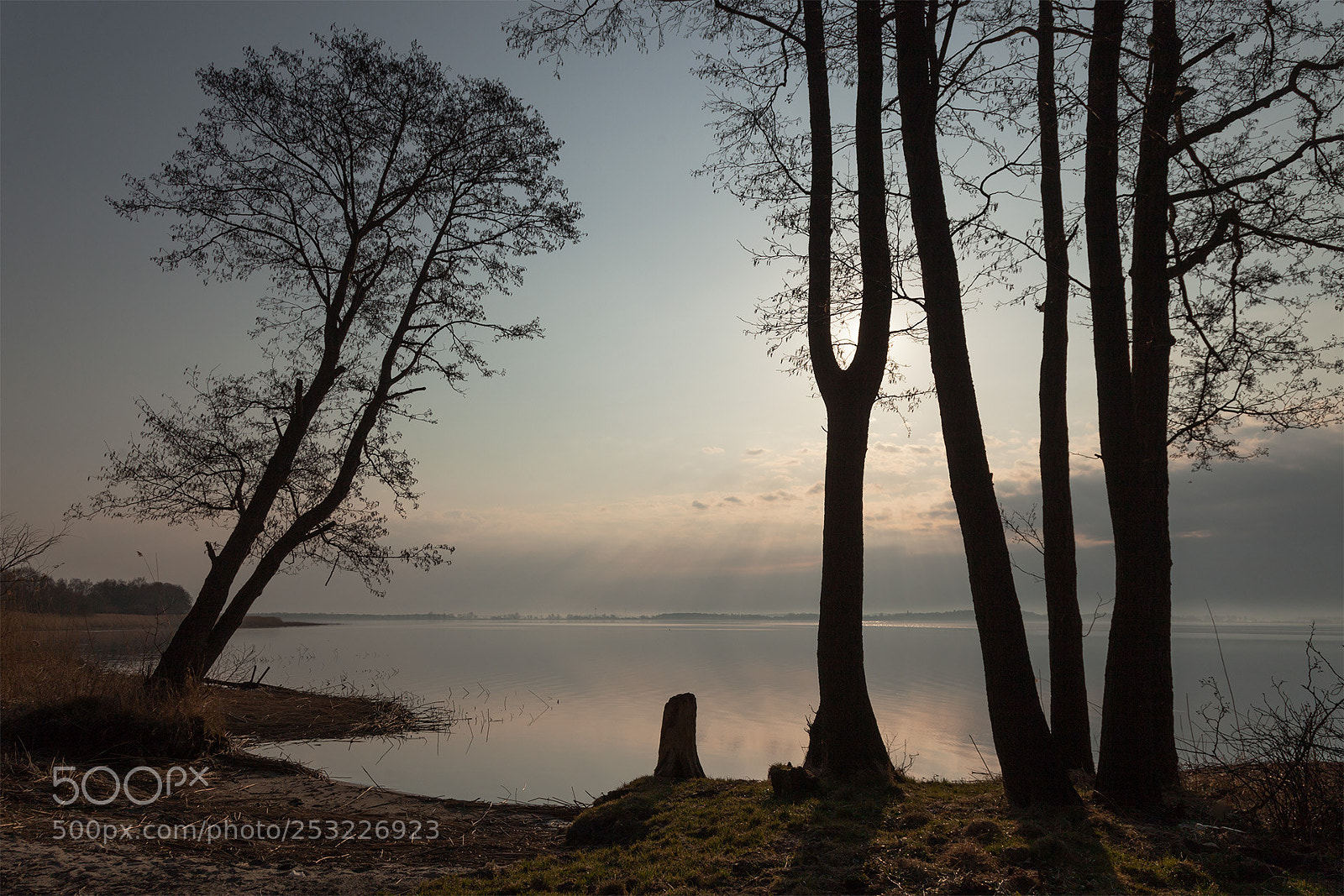 Canon EOS 5D Mark II sample photo. Morning photography