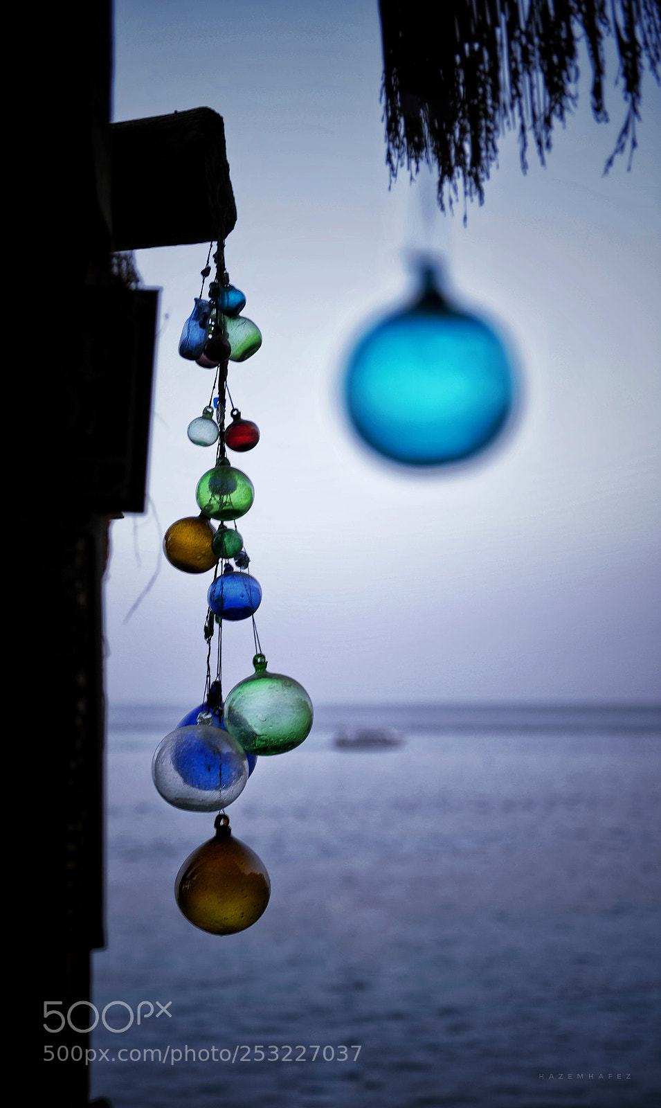 Nikon D610 sample photo. By the beach photography
