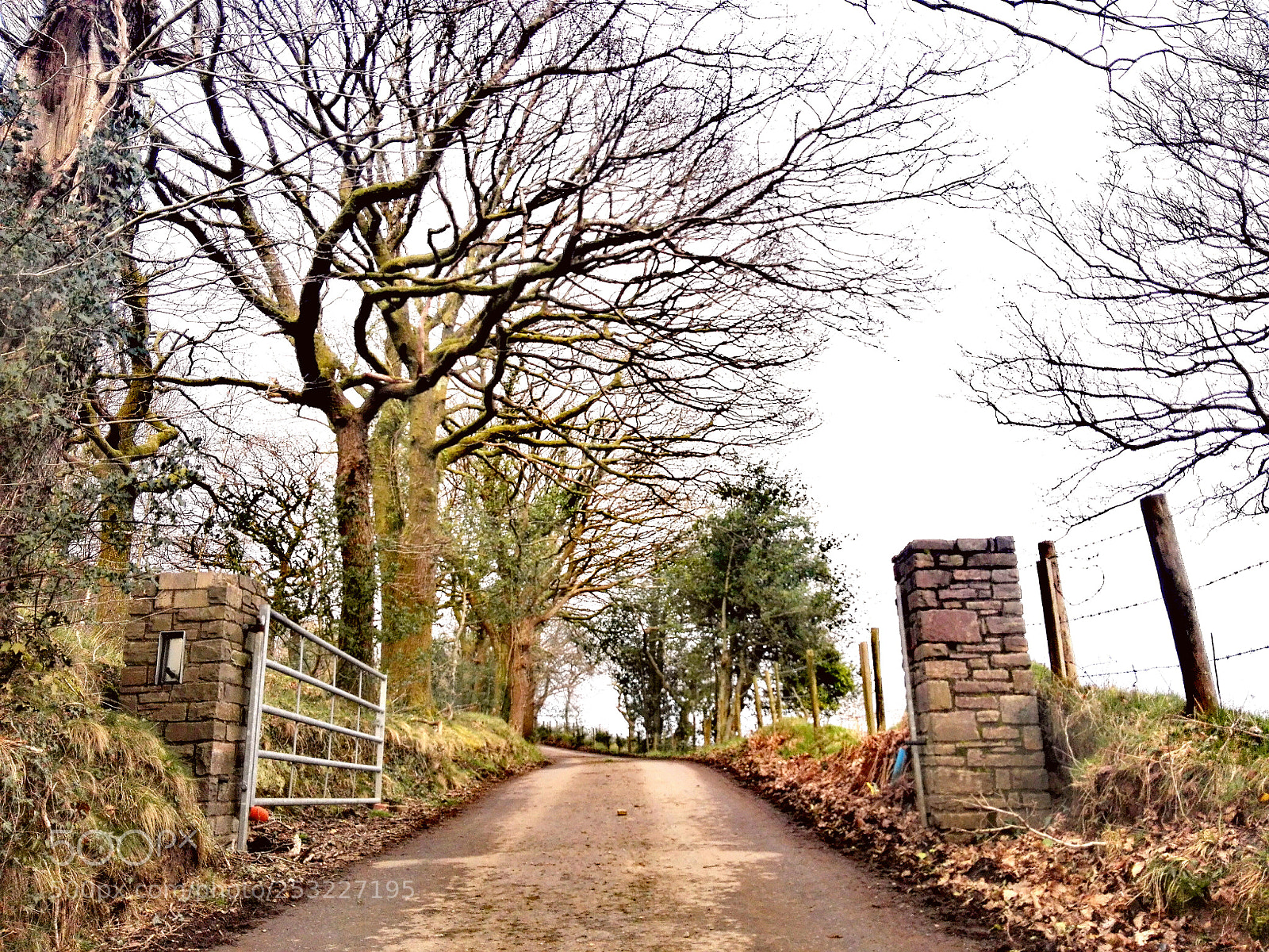 HUAWEI P8 Lite sample photo. Nature park entrance photography