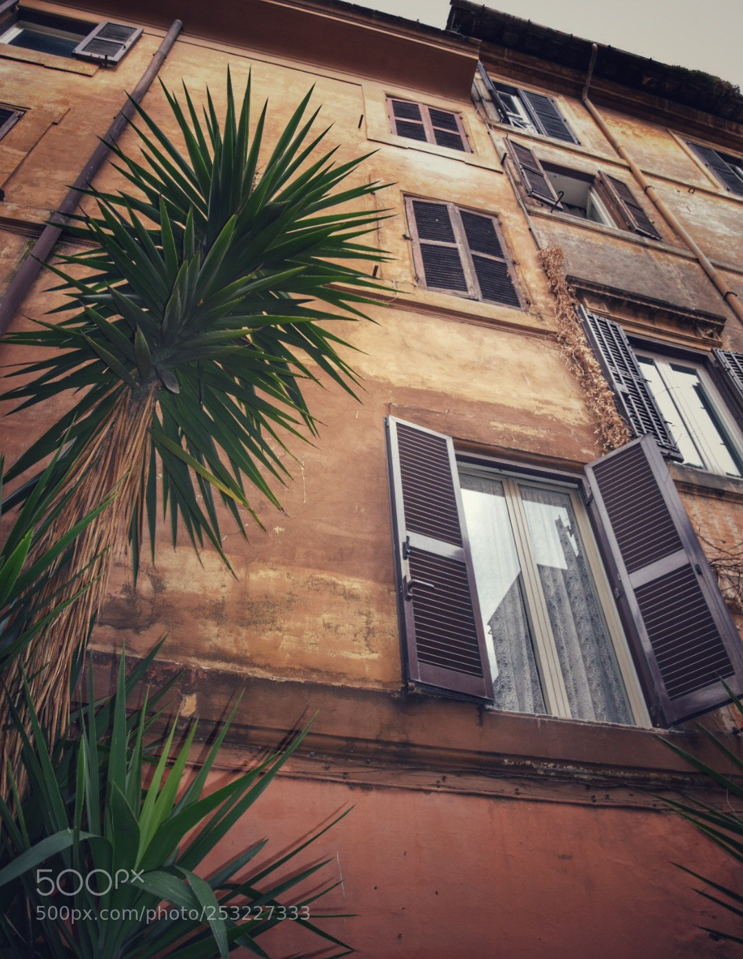 Nikon D5300 sample photo. Untitled photography