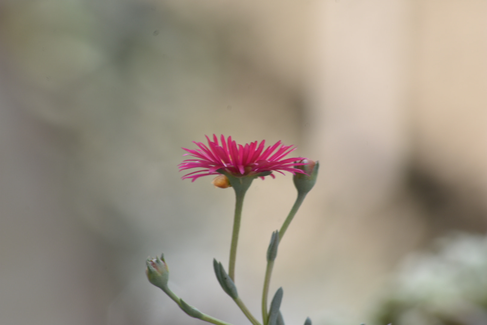 Nikon D3400 + Sigma 70-300mm F4-5.6 APO DG Macro sample photo. Calm within nature photography