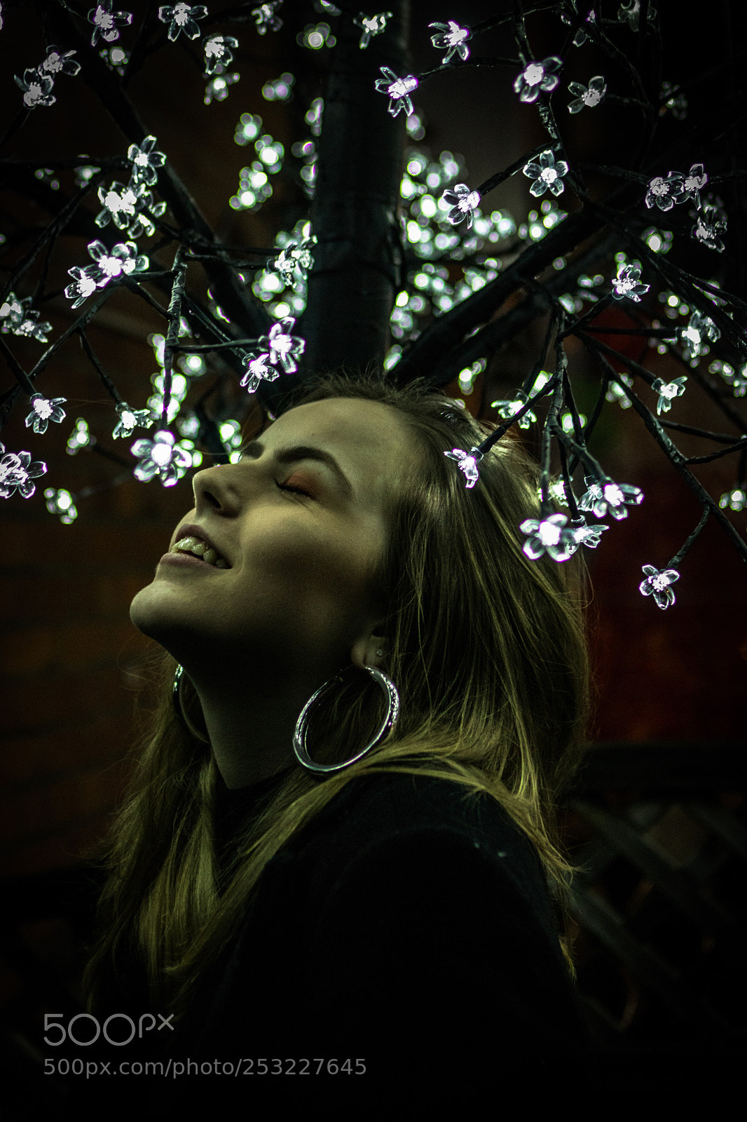 Canon EOS 80D sample photo. Untitled photography