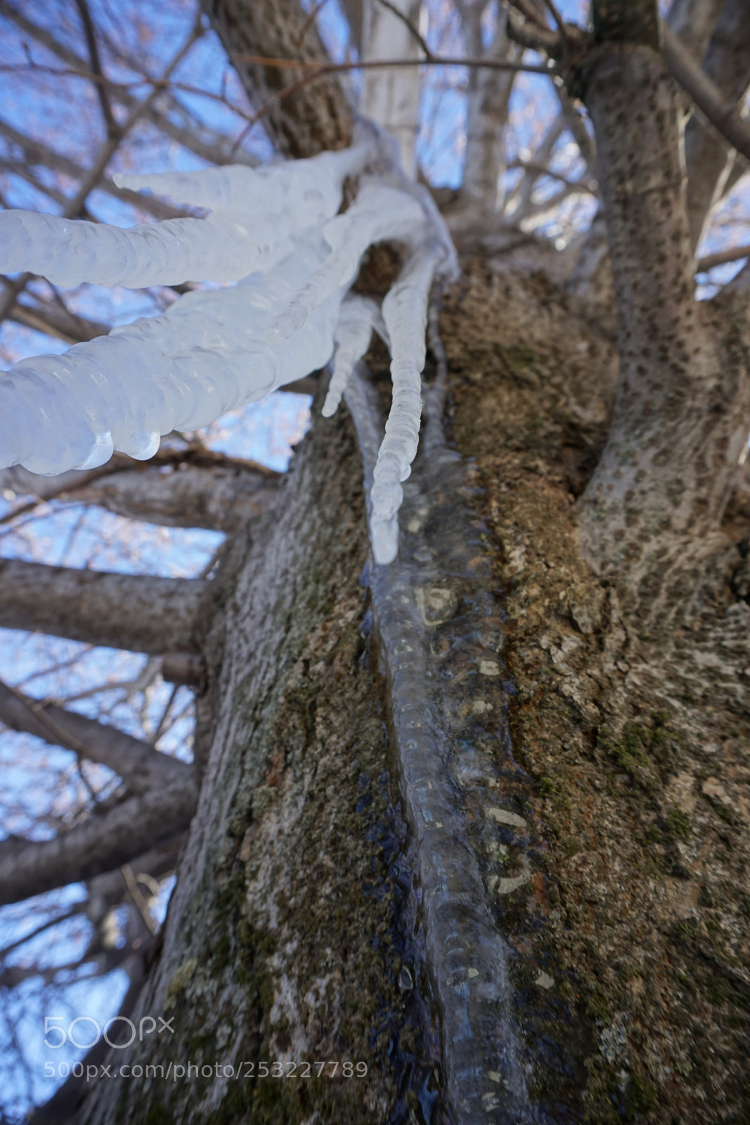 Sony a6000 sample photo. Dsc photography