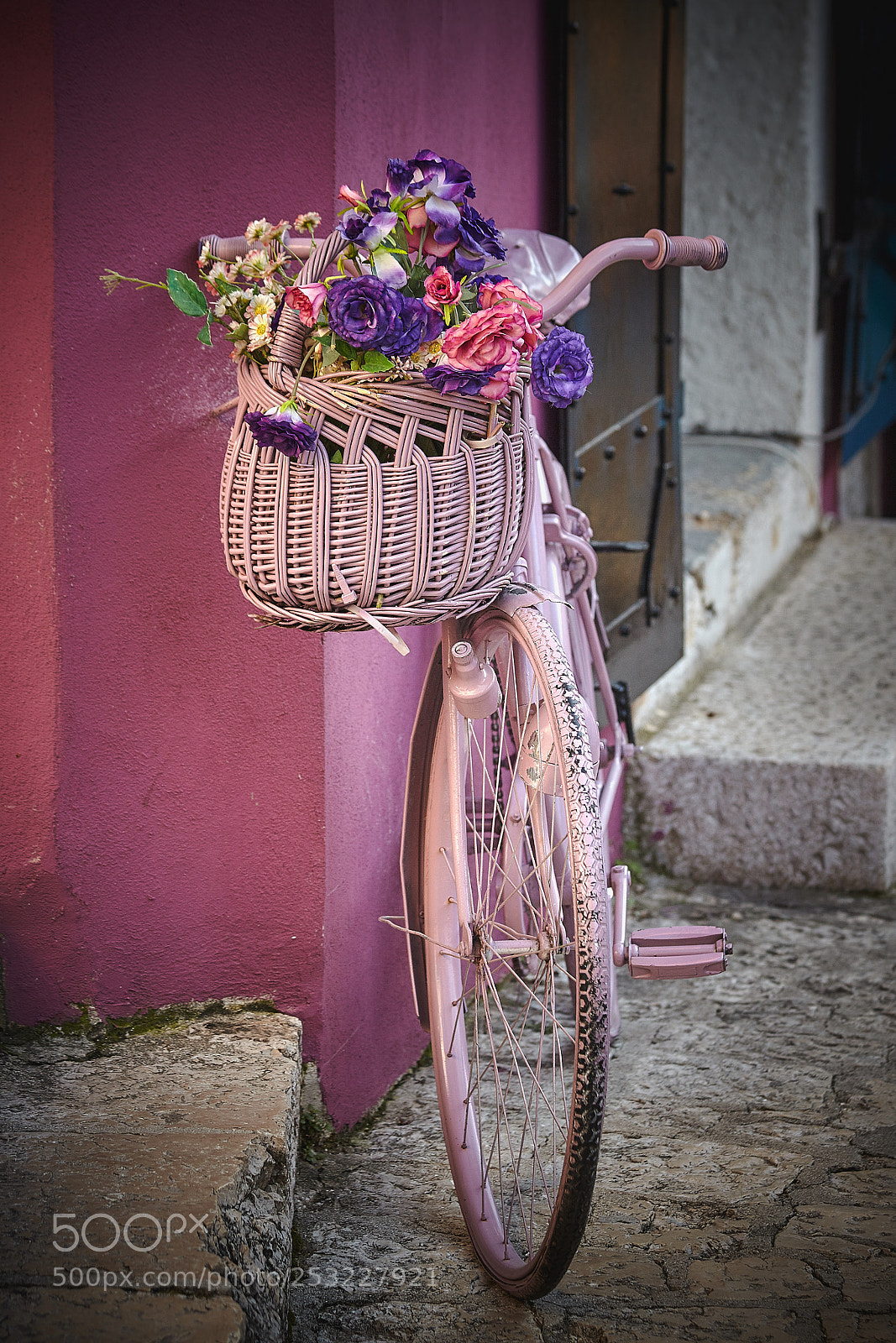 Canon EOS 5D Mark II sample photo. Pink bicycle photography