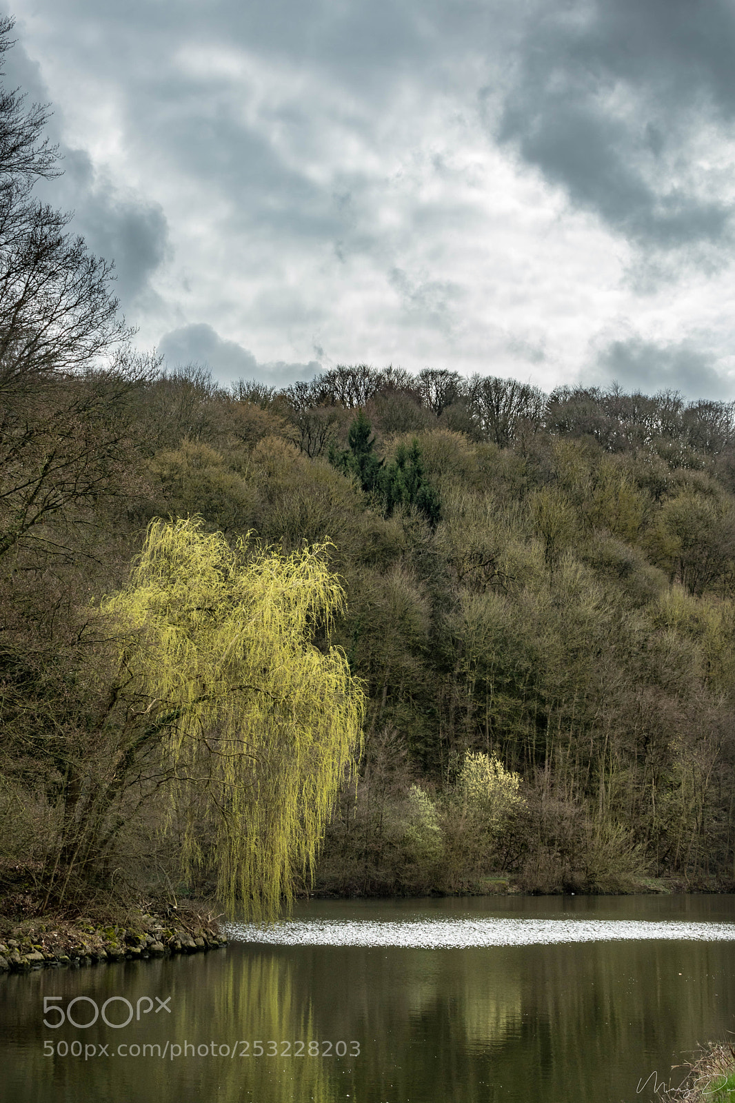 Nikon D5500 sample photo. En bord de sambre photography