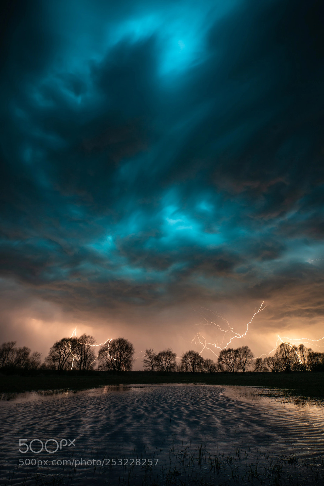 Sony a7R II sample photo. Big strike photography