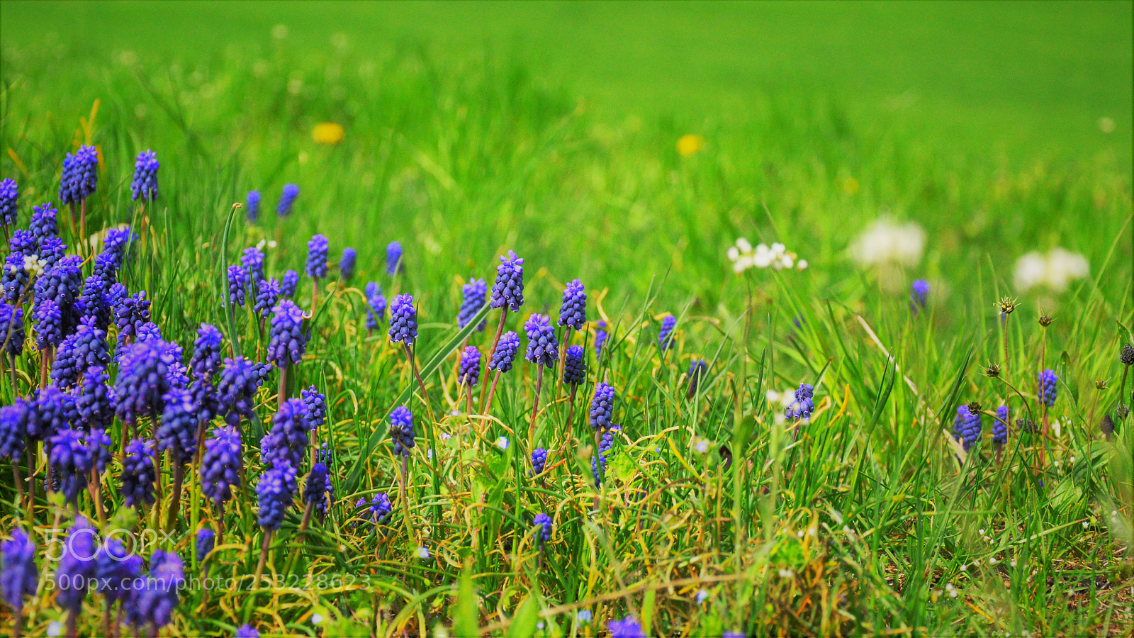 Nikon D3200 sample photo. Untitled photography