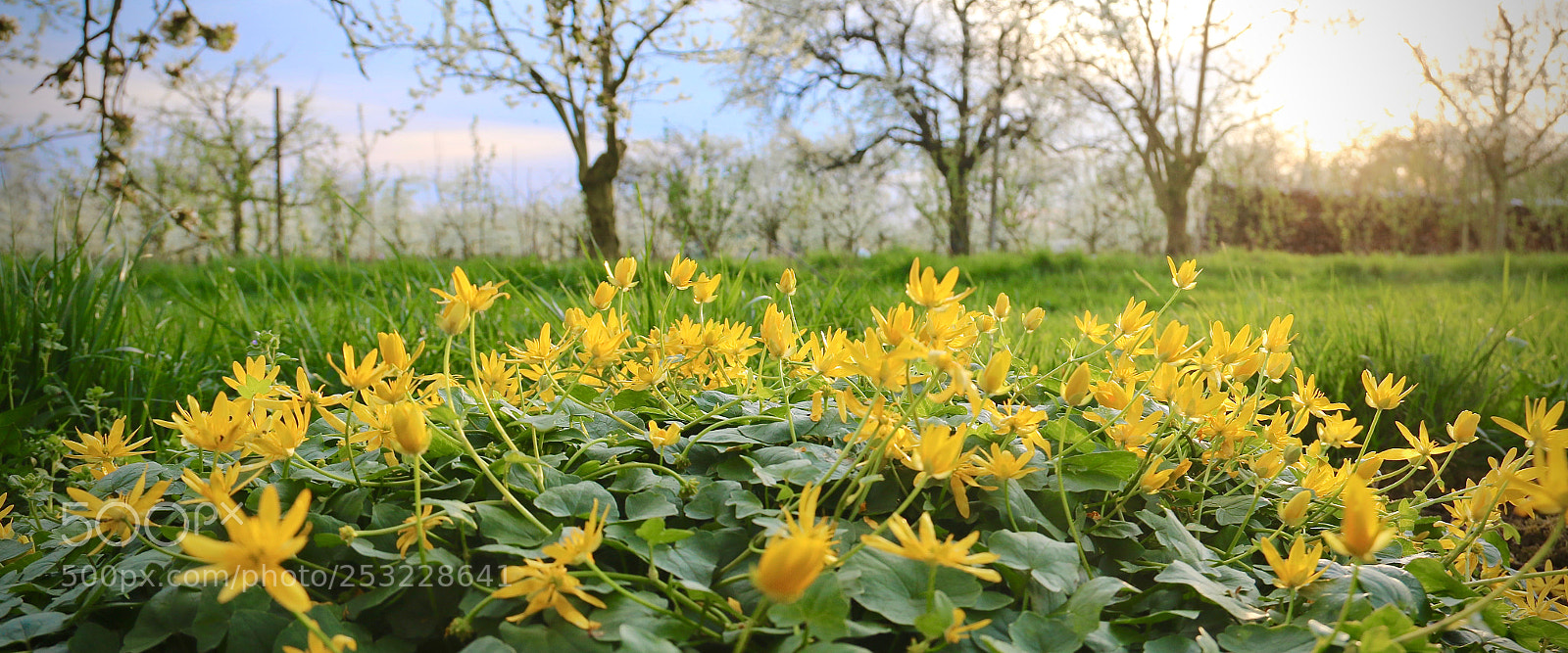 Canon EOS 70D sample photo. Springtime yeah....2 photography