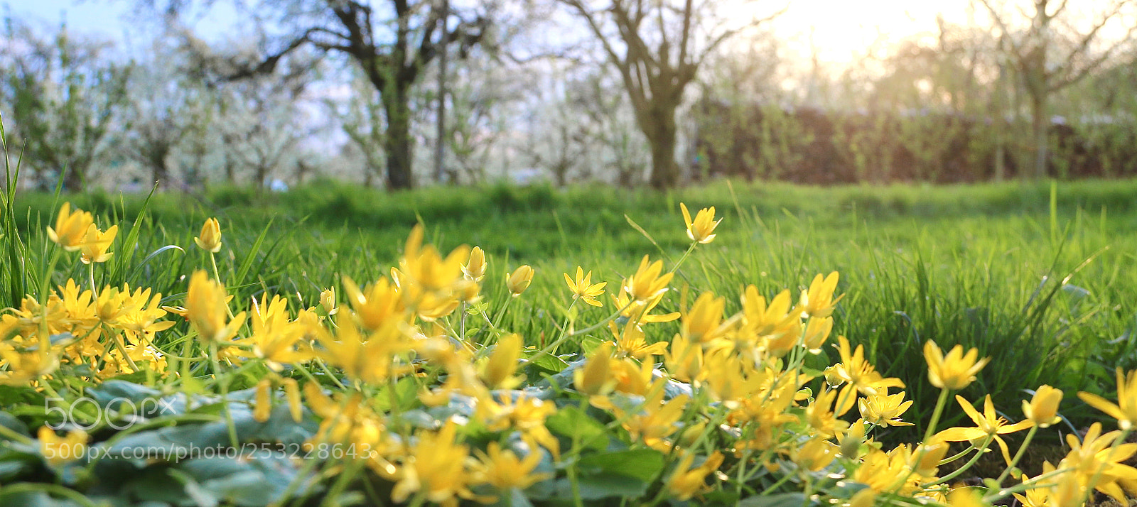 Canon EOS 70D sample photo. Springtime yeah ....3 photography