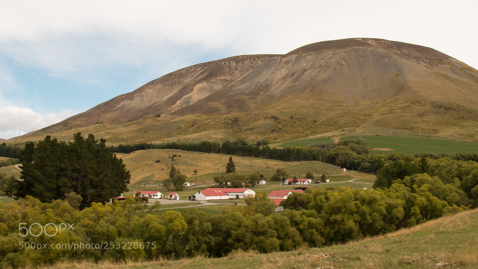 Canon EOS 70D sample photo. Molesworth station photography