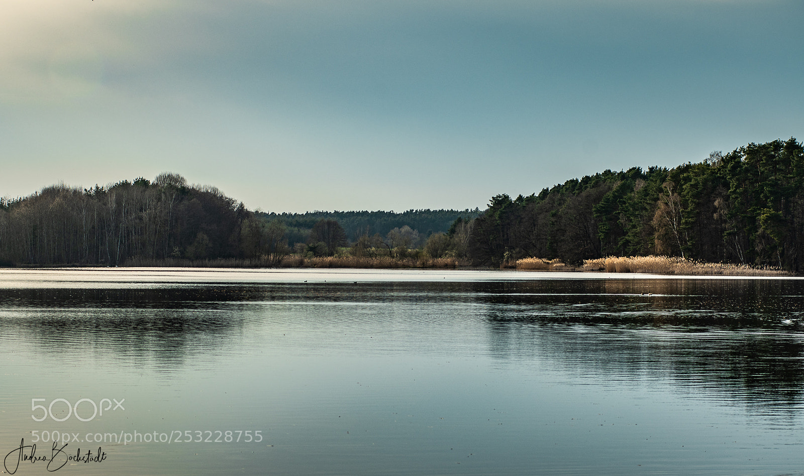 Nikon D500 sample photo. Evening at dechsendorfer weiher photography