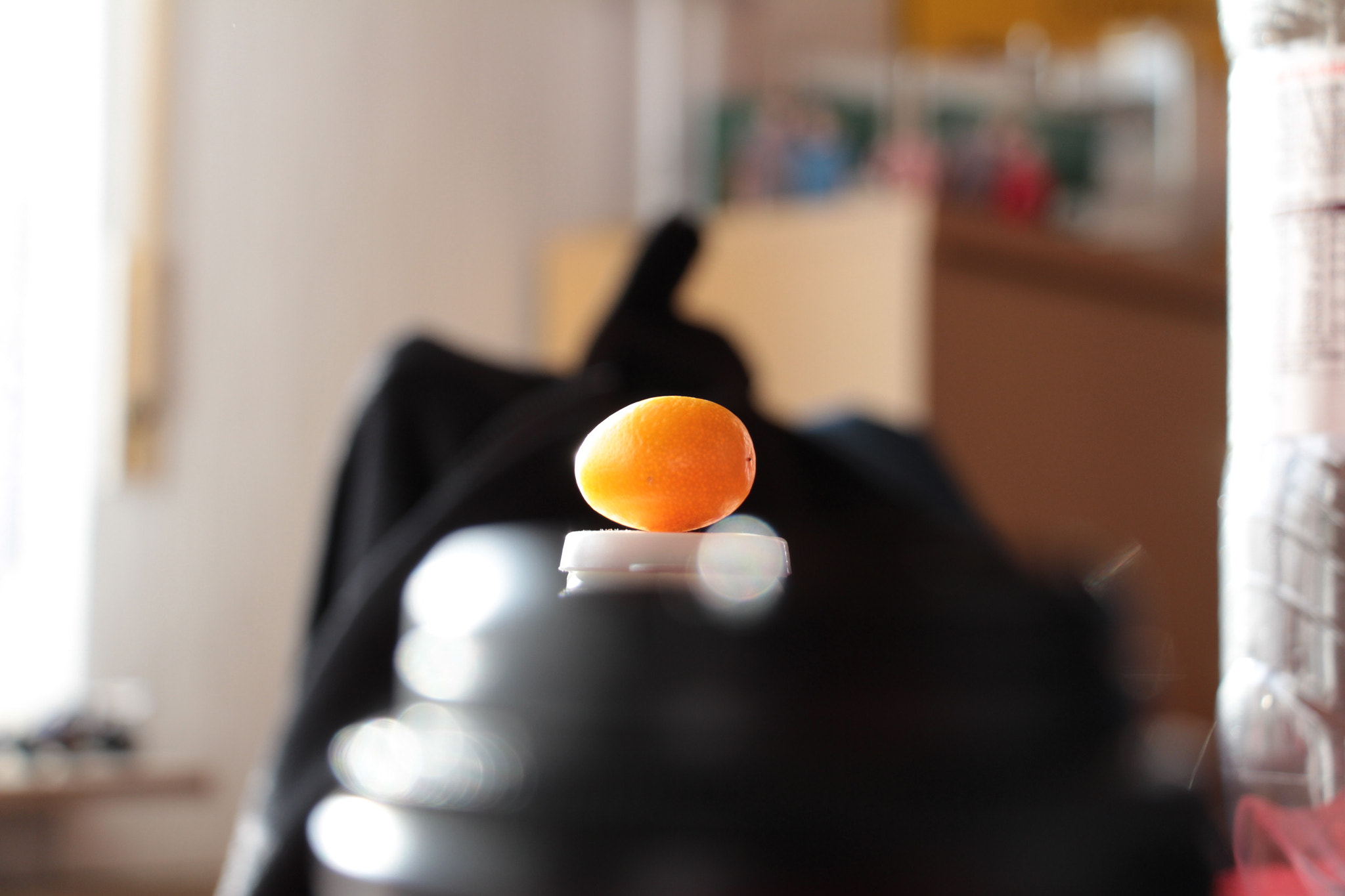 Canon EOS 650D (EOS Rebel T4i / EOS Kiss X6i) sample photo. Mini orange photography