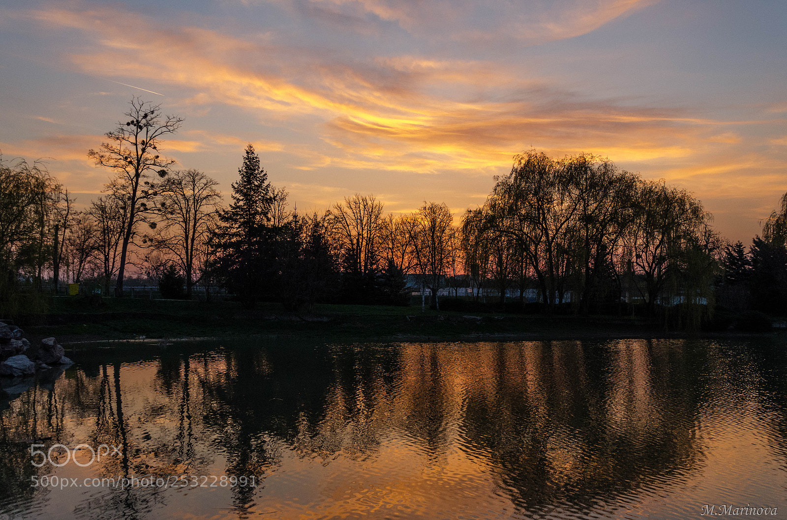 Nikon D7000 sample photo. Beautiful reflection in the photography