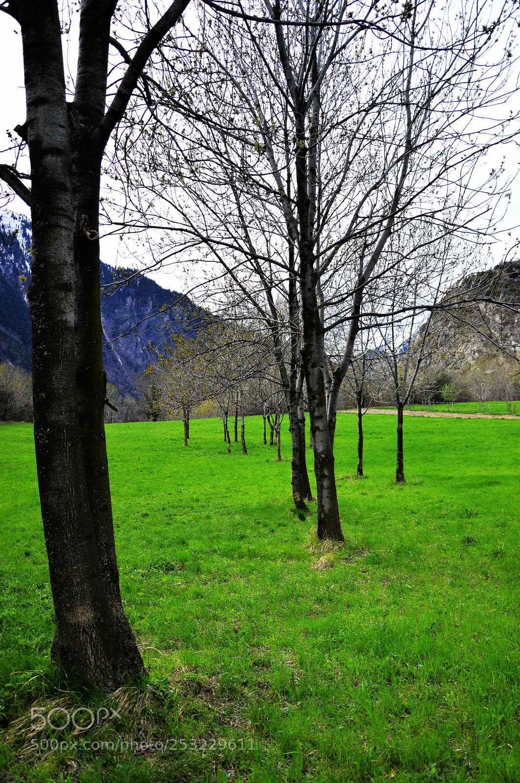Nikon D3200 sample photo. Untitled photography