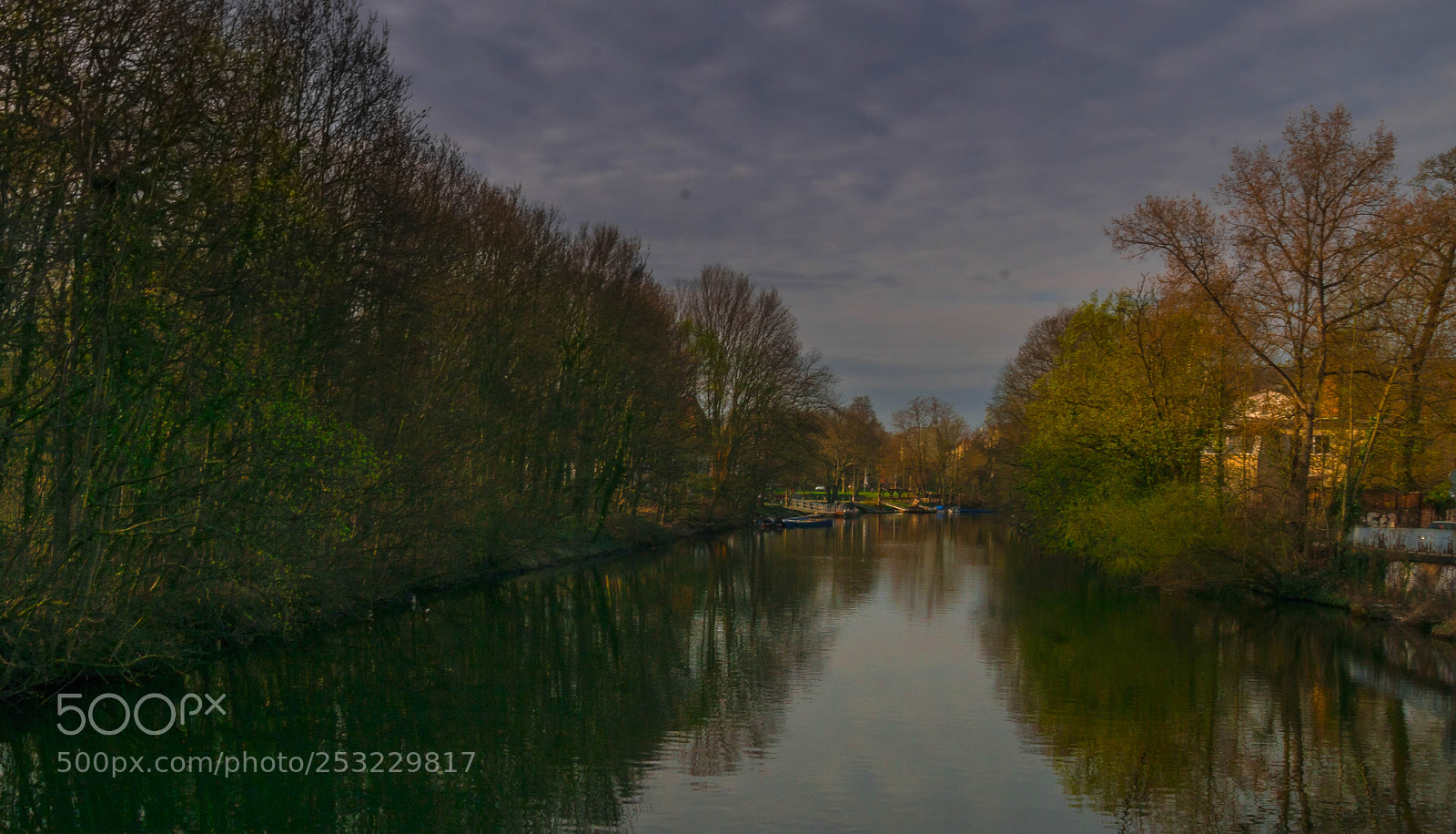 Sony ILCA-77M2 sample photo. City nature photography
