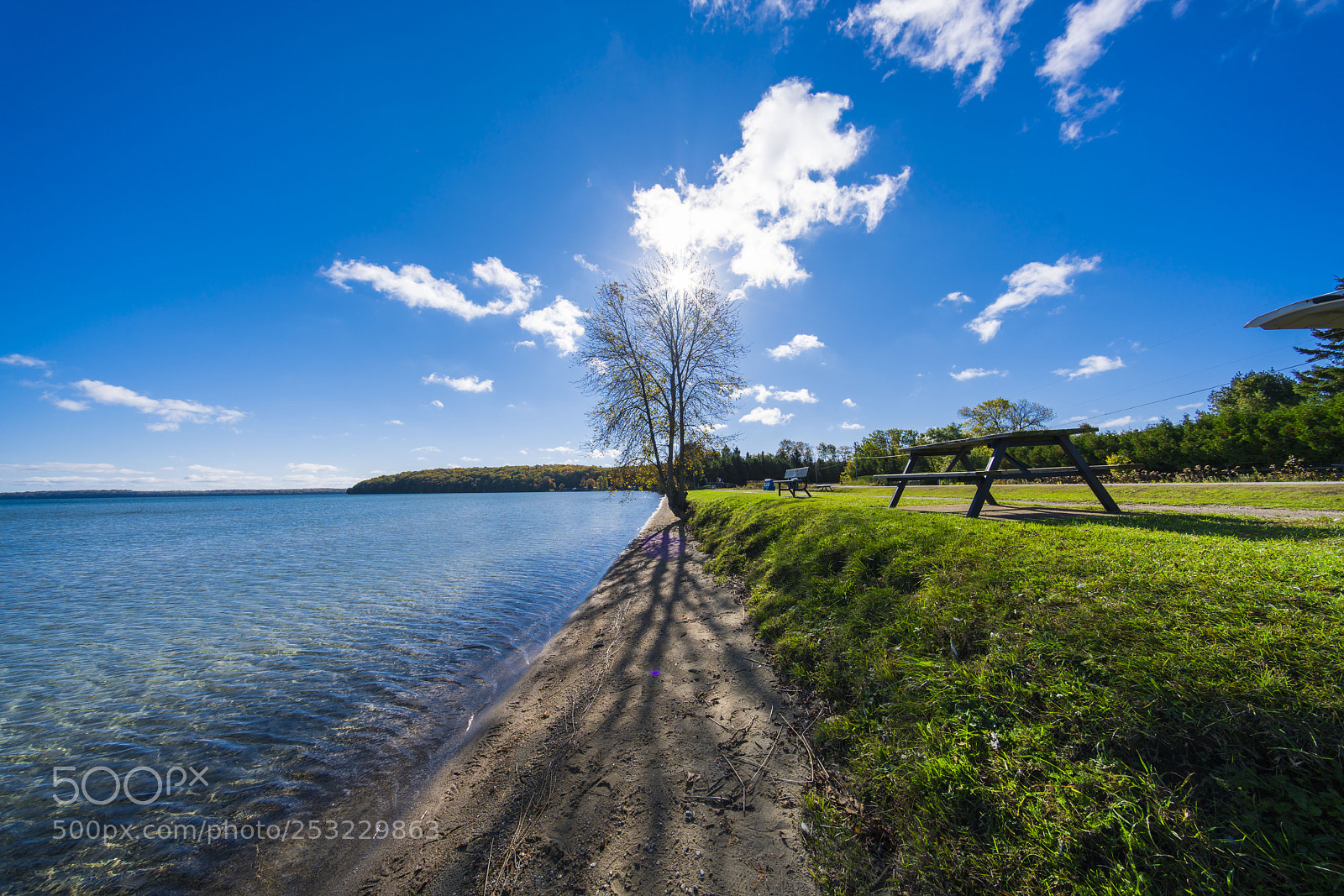 Sony a7R II sample photo. Untitled photography