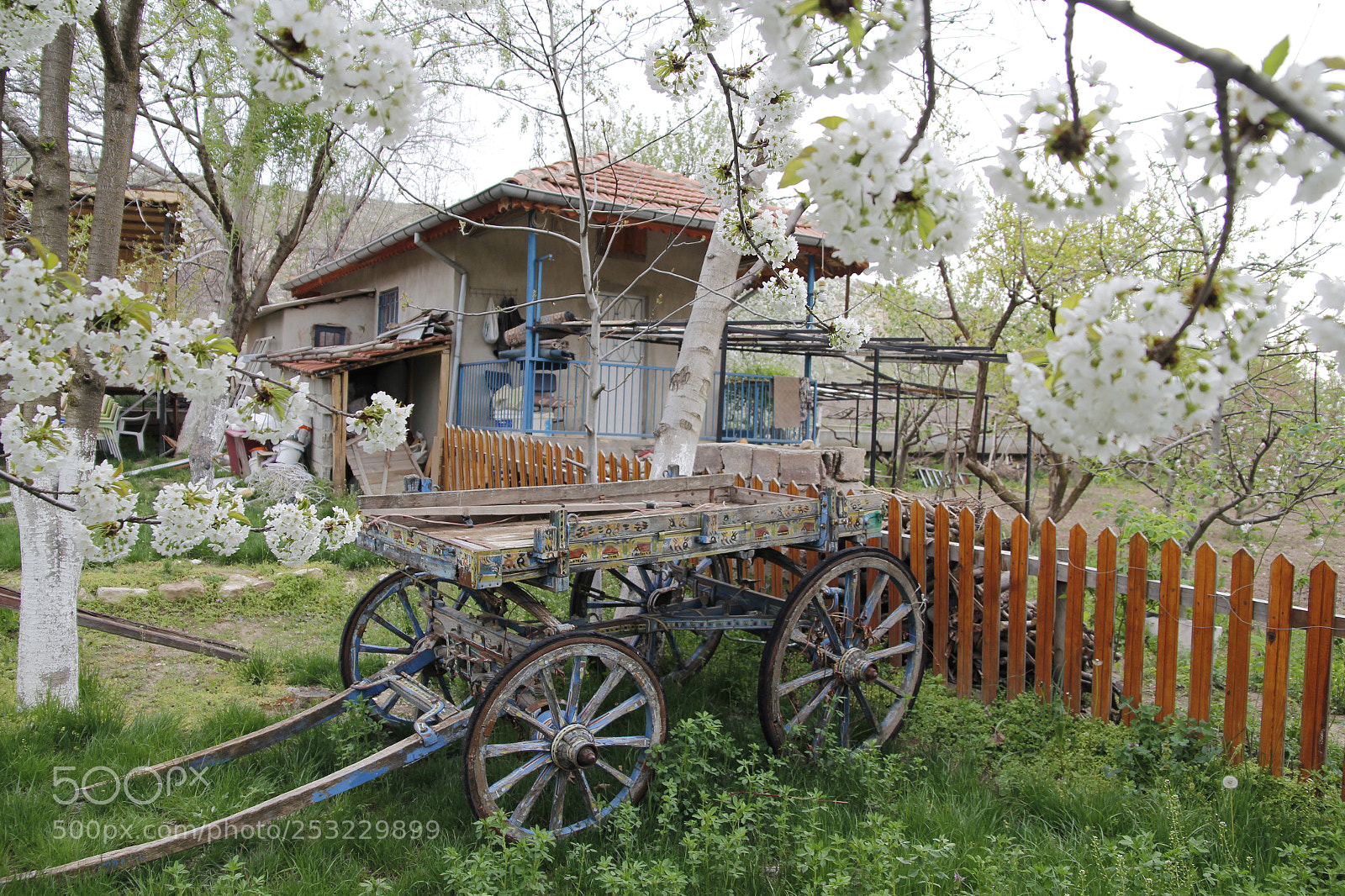 Canon EOS 60D sample photo. Mg photography
