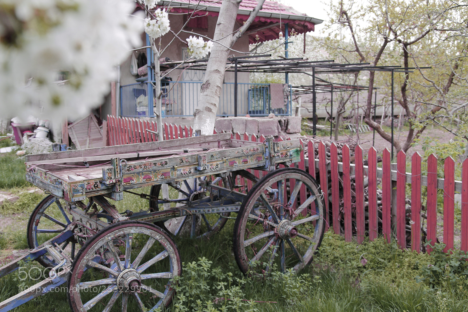 Canon EOS 60D sample photo. Mg photography