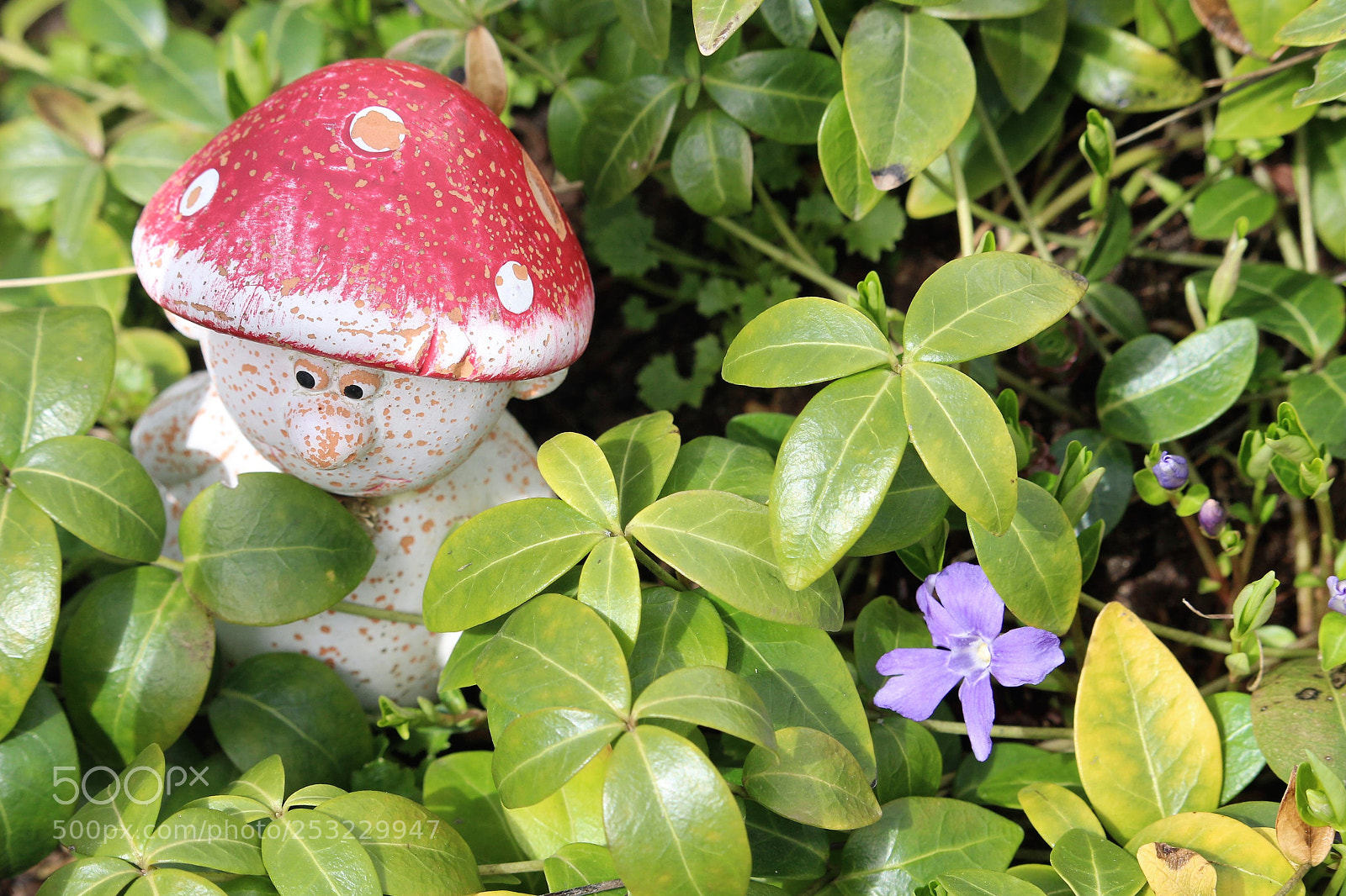 Canon EOS 700D (EOS Rebel T5i / EOS Kiss X7i) sample photo. Untitled photography