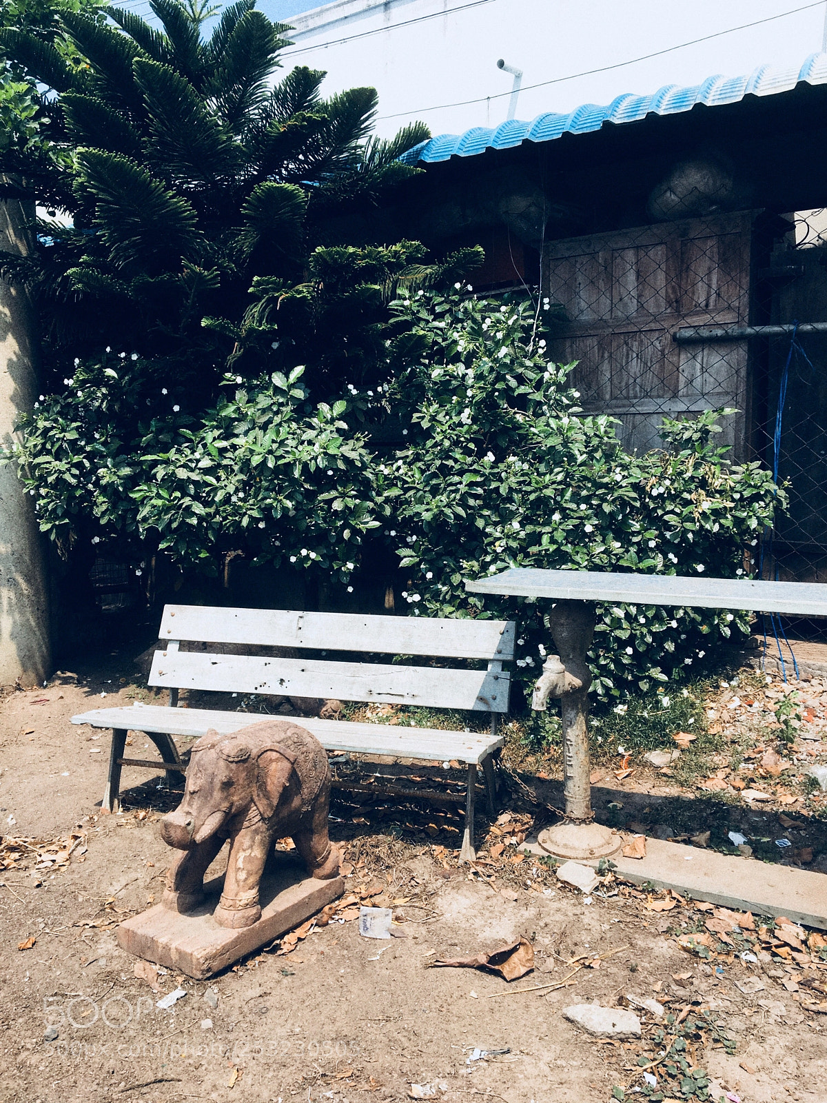Apple iPhone 6s sample photo. Untitled photography