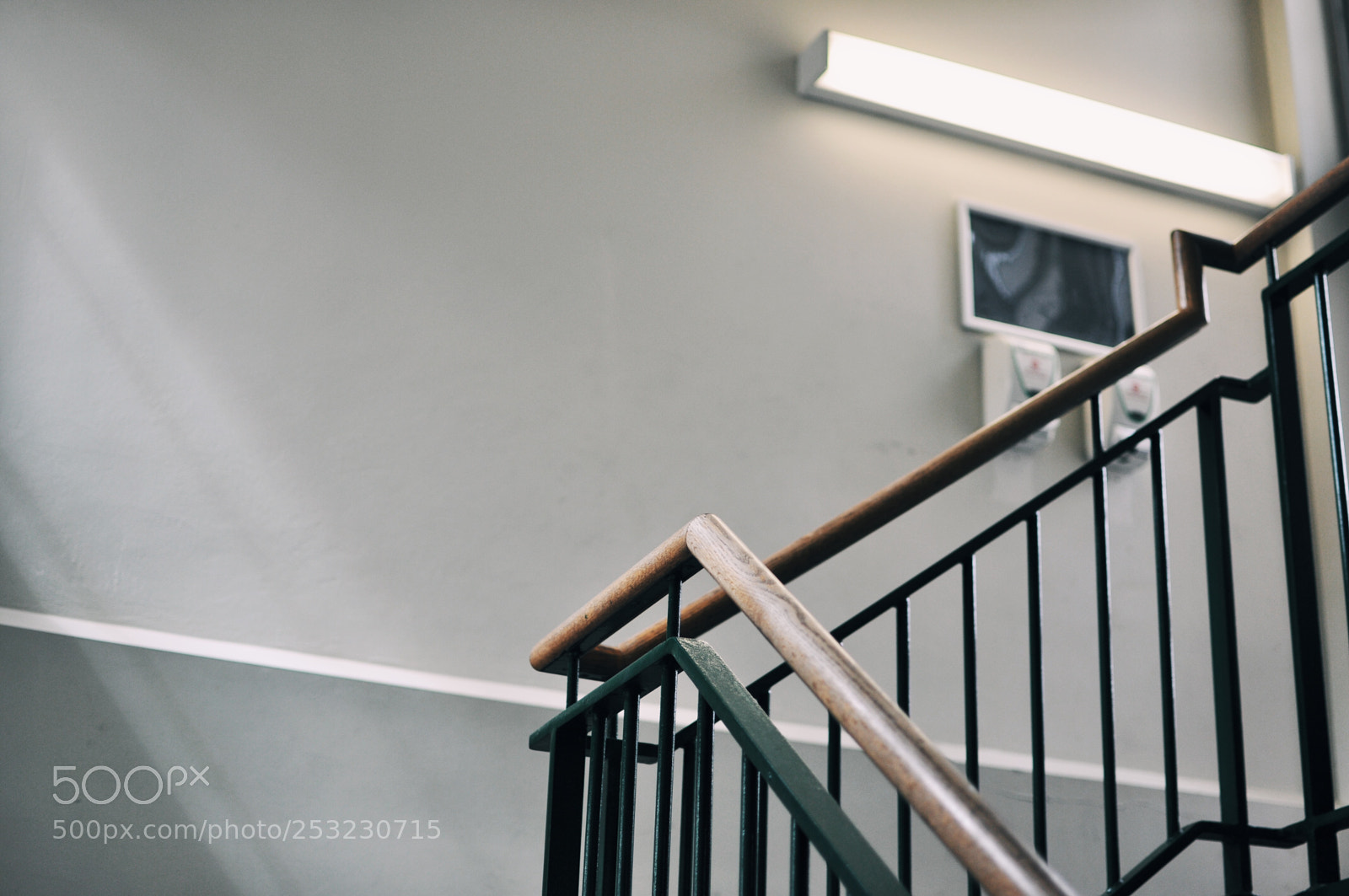 Nikon D90 sample photo. Processed with vsco with photography