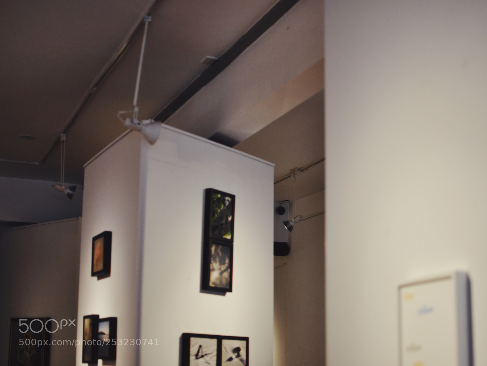 Nikon D90 sample photo. Processed with vsco with photography