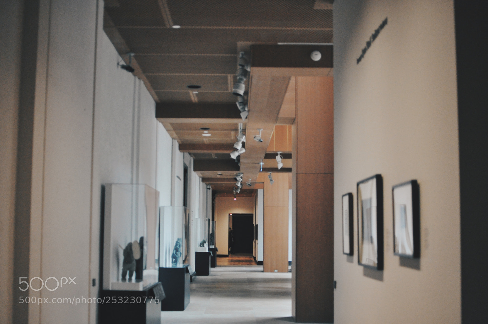 Nikon D90 sample photo. Processed with vsco with photography