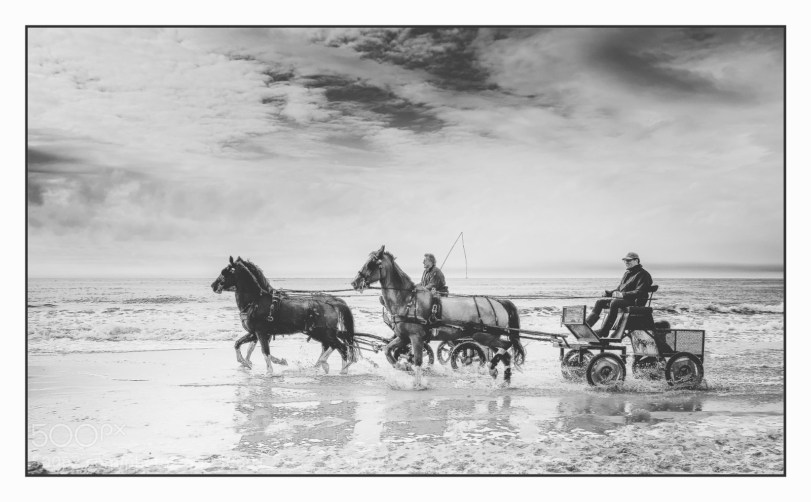 Olympus OM-D E-M1 Mark II sample photo. Horse craft - black photography