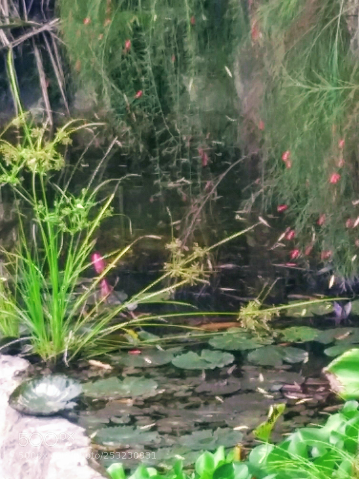 Motorola Moto G (5) Plus sample photo. Img_20180409_124516743.jpg photography