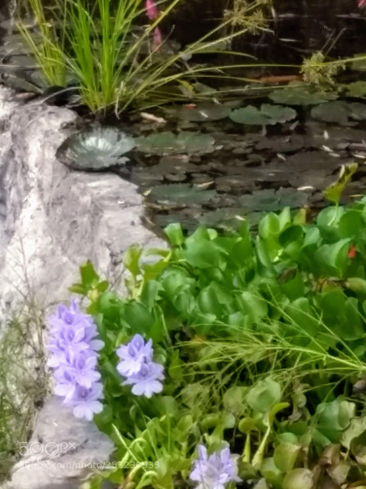 Motorola Moto G (5) Plus sample photo. Img_20180409_124449836.jpg photography