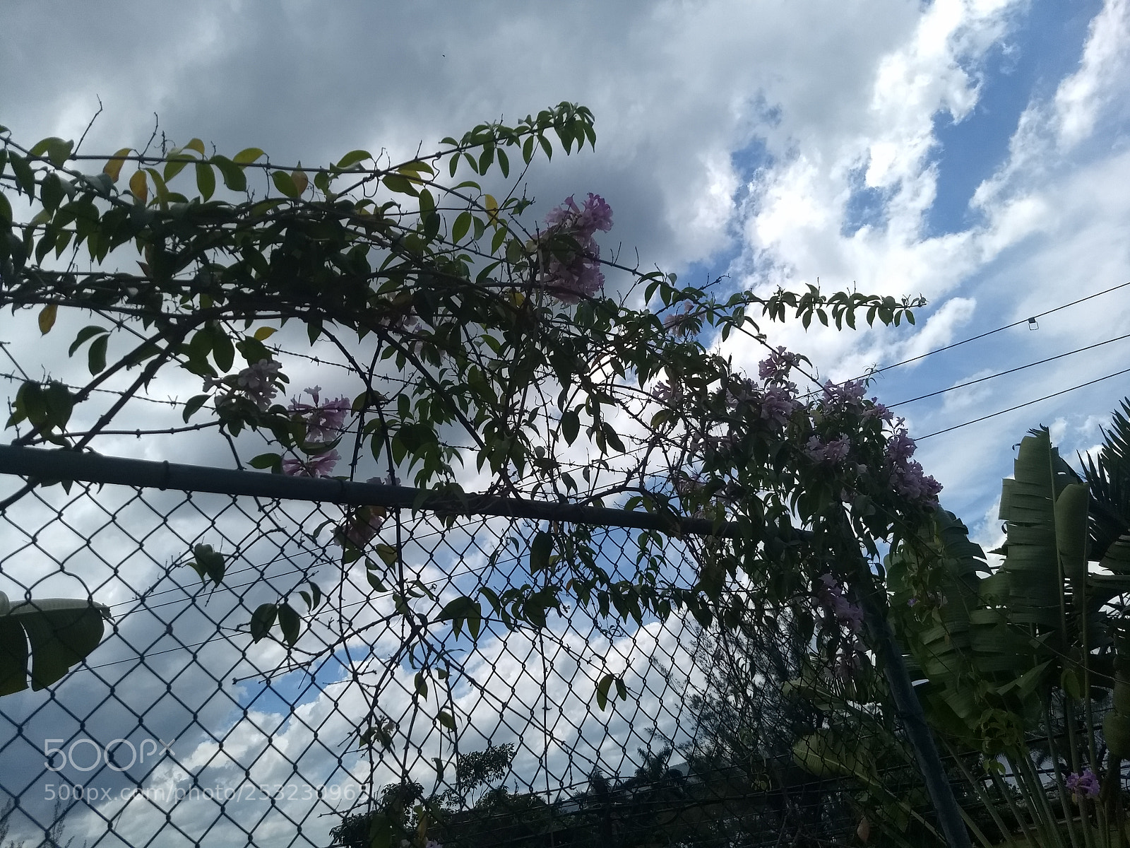 Motorola Moto G (5) Plus sample photo. Img_20180409_124418910.jpg photography