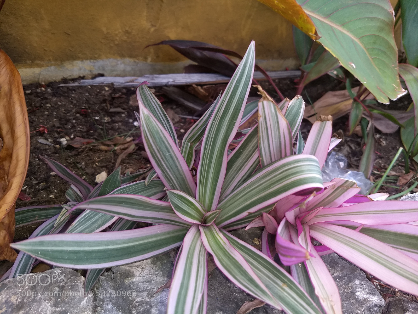 Motorola Moto G (5) Plus sample photo. Img_20180409_124318576.jpg photography