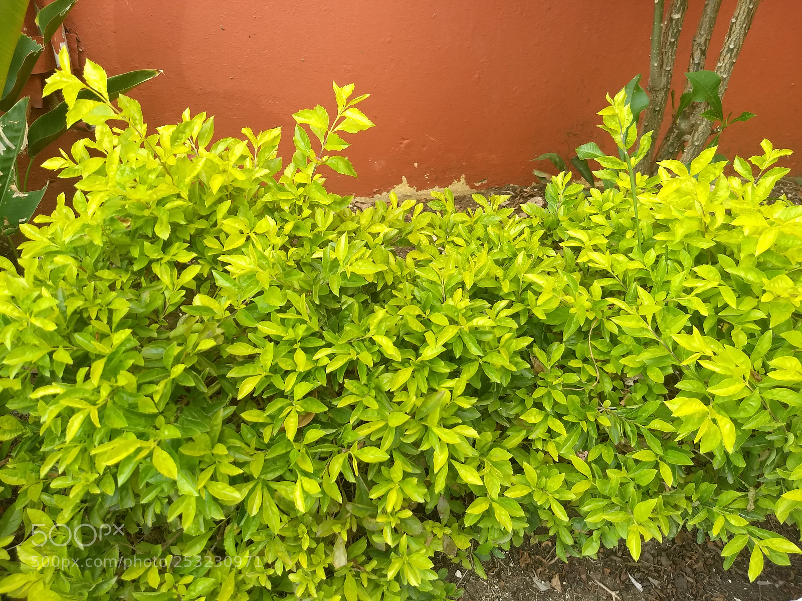 Motorola Moto G (5) Plus sample photo. Img_20180409_124215432.jpg photography