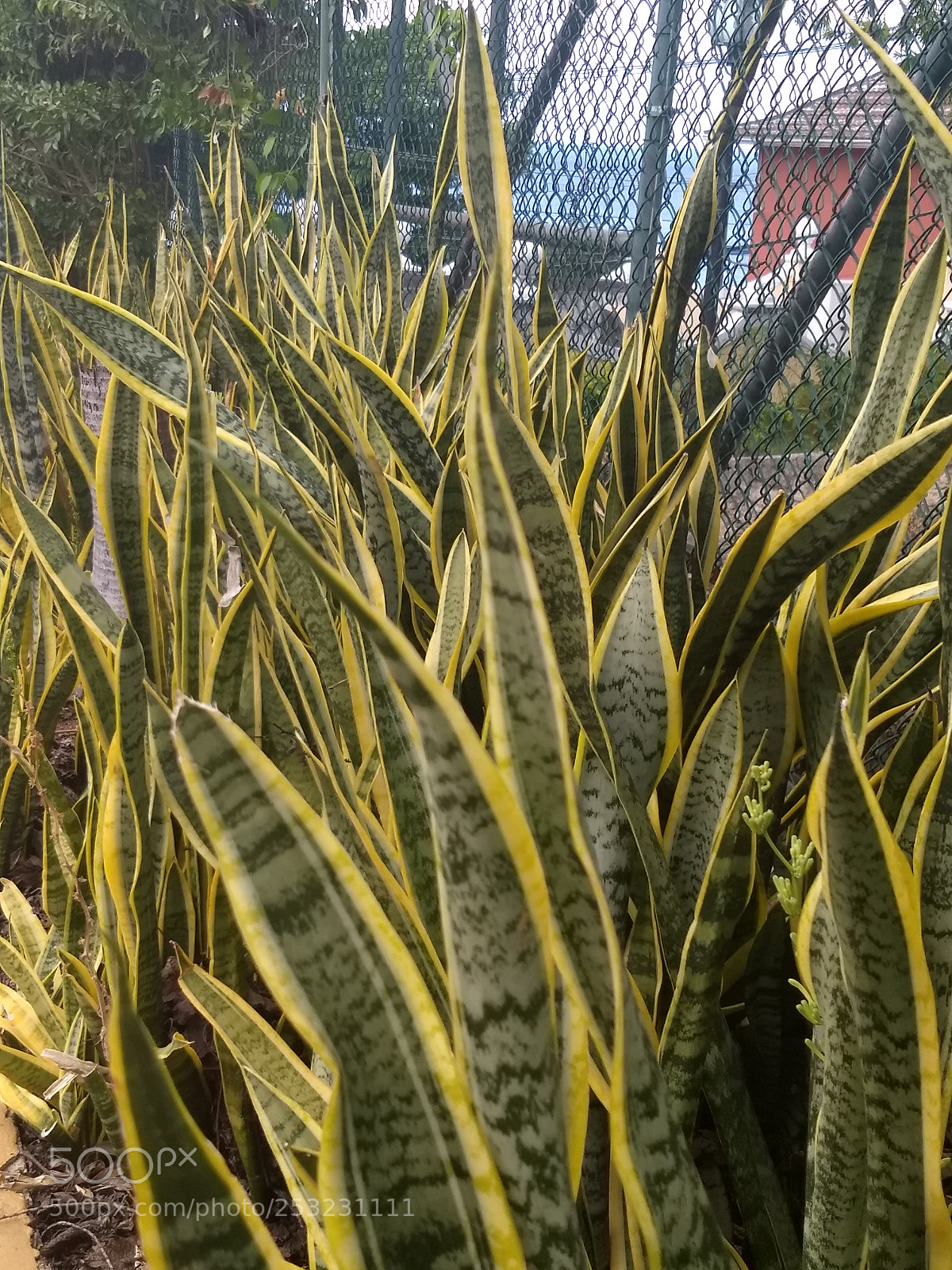 Motorola Moto G (5) Plus sample photo. Img_20180409_123714869.jpg photography