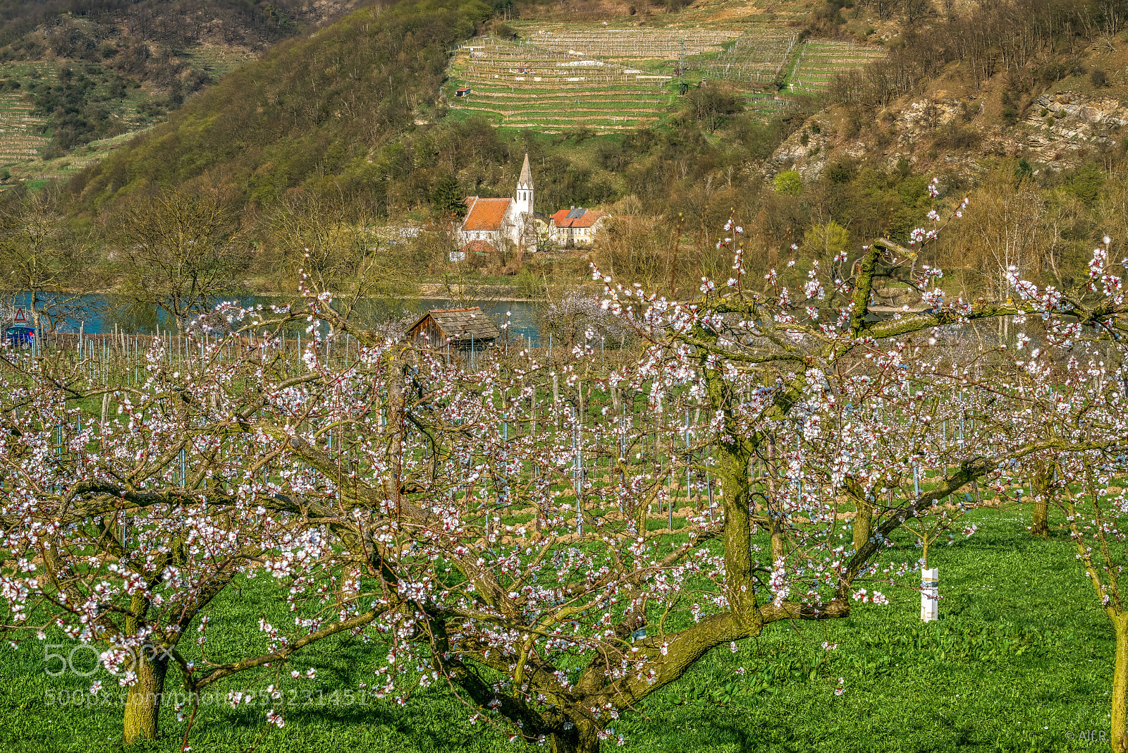 Sony a7R II sample photo. This is the wachau photography