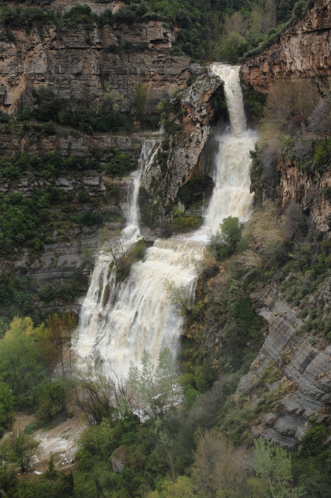 Canon EF 24-105mm F4L IS USM sample photo. Jpg photography