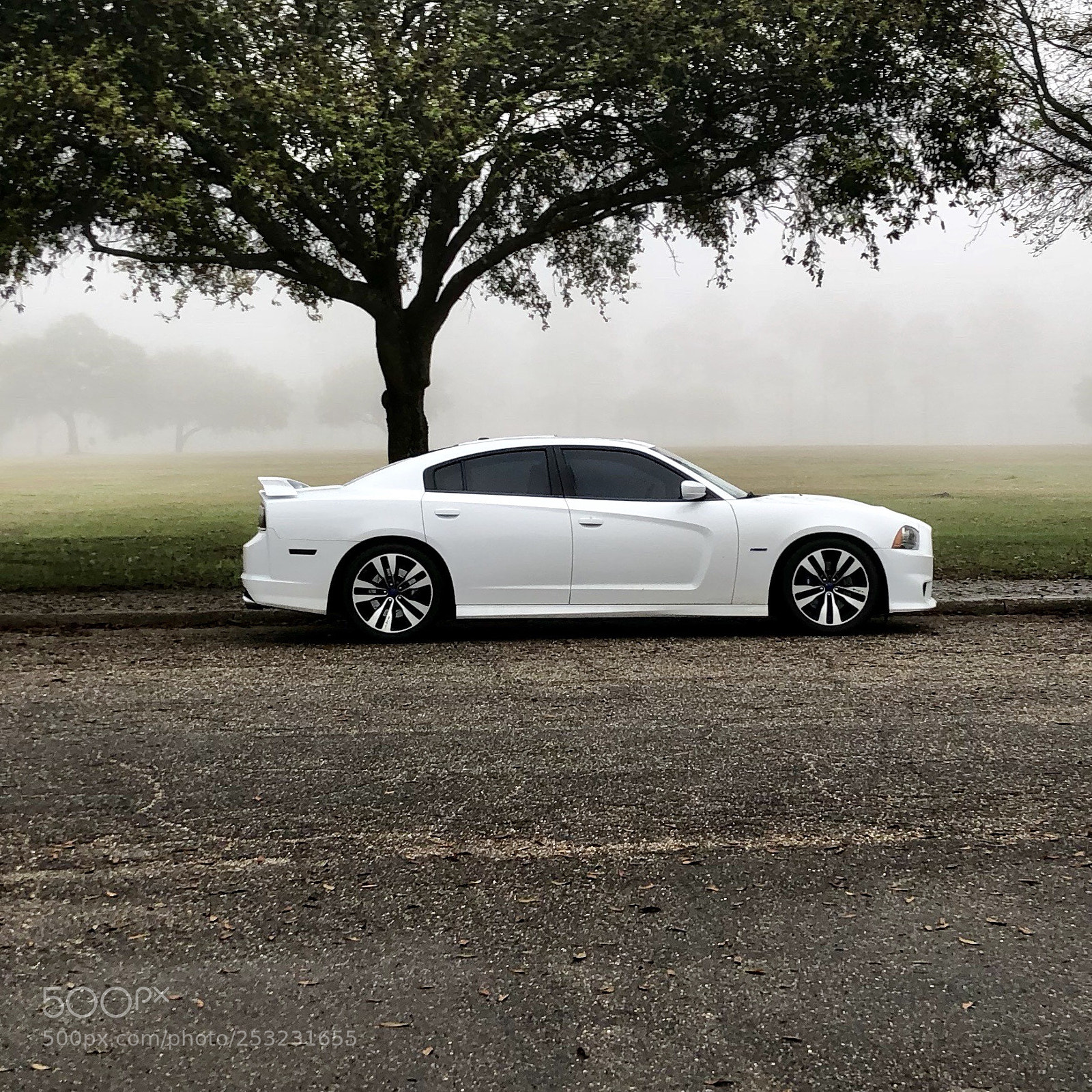 Apple iPhone 8 Plus sample photo. Untitled photography